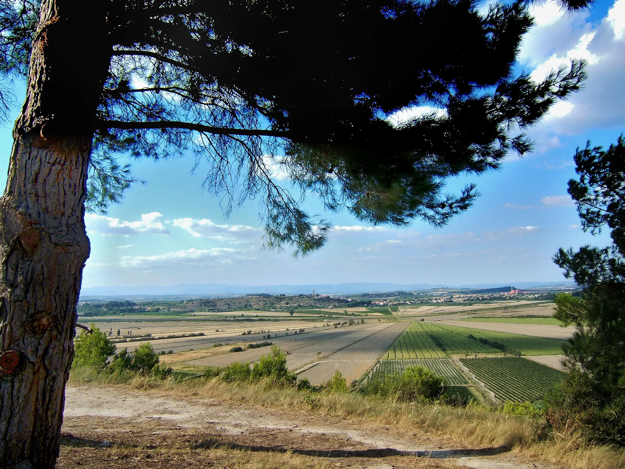 Photo showing: étang de Montady (Hérault)