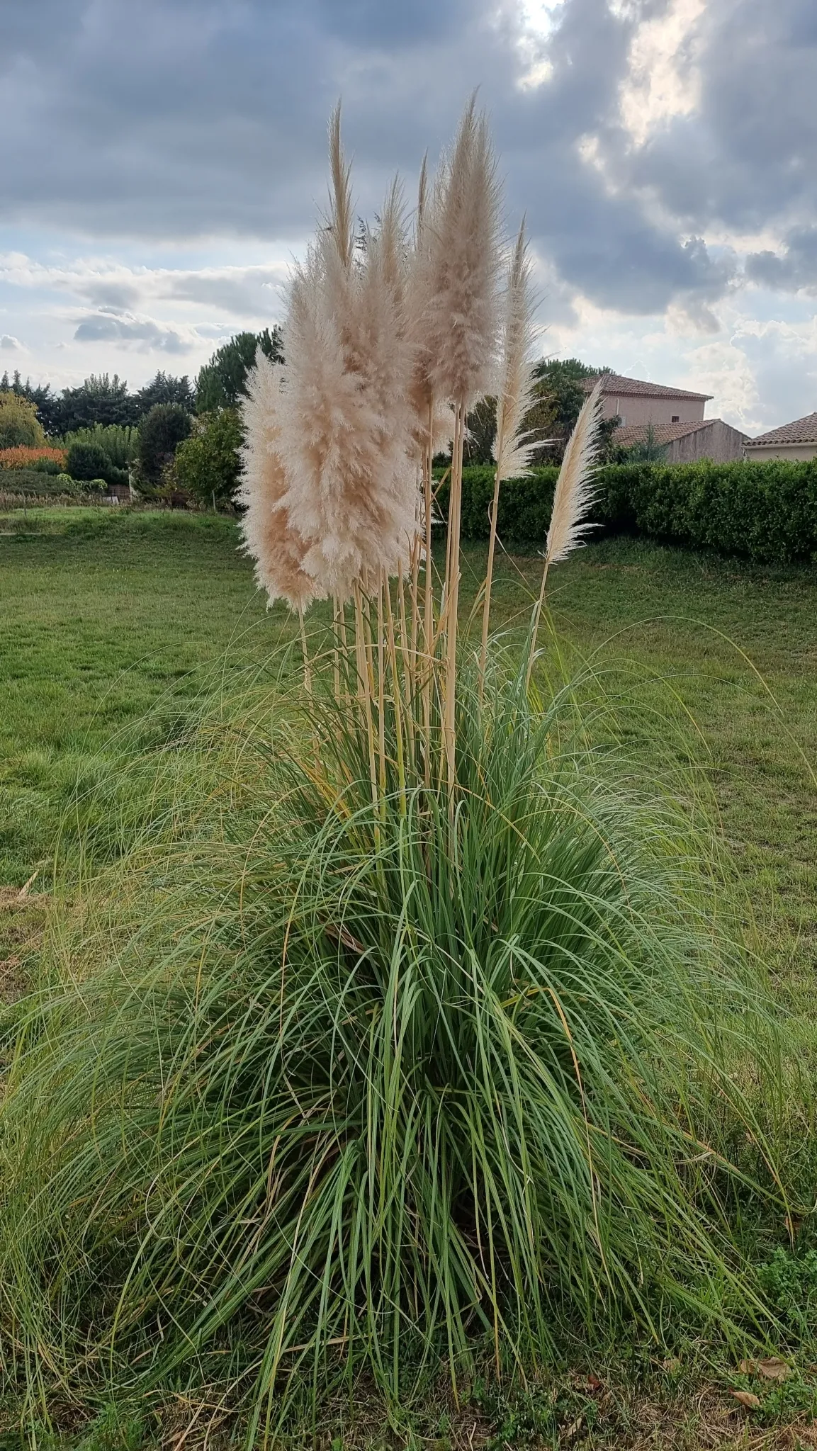 Afbeelding van Languedoc-Roussillon