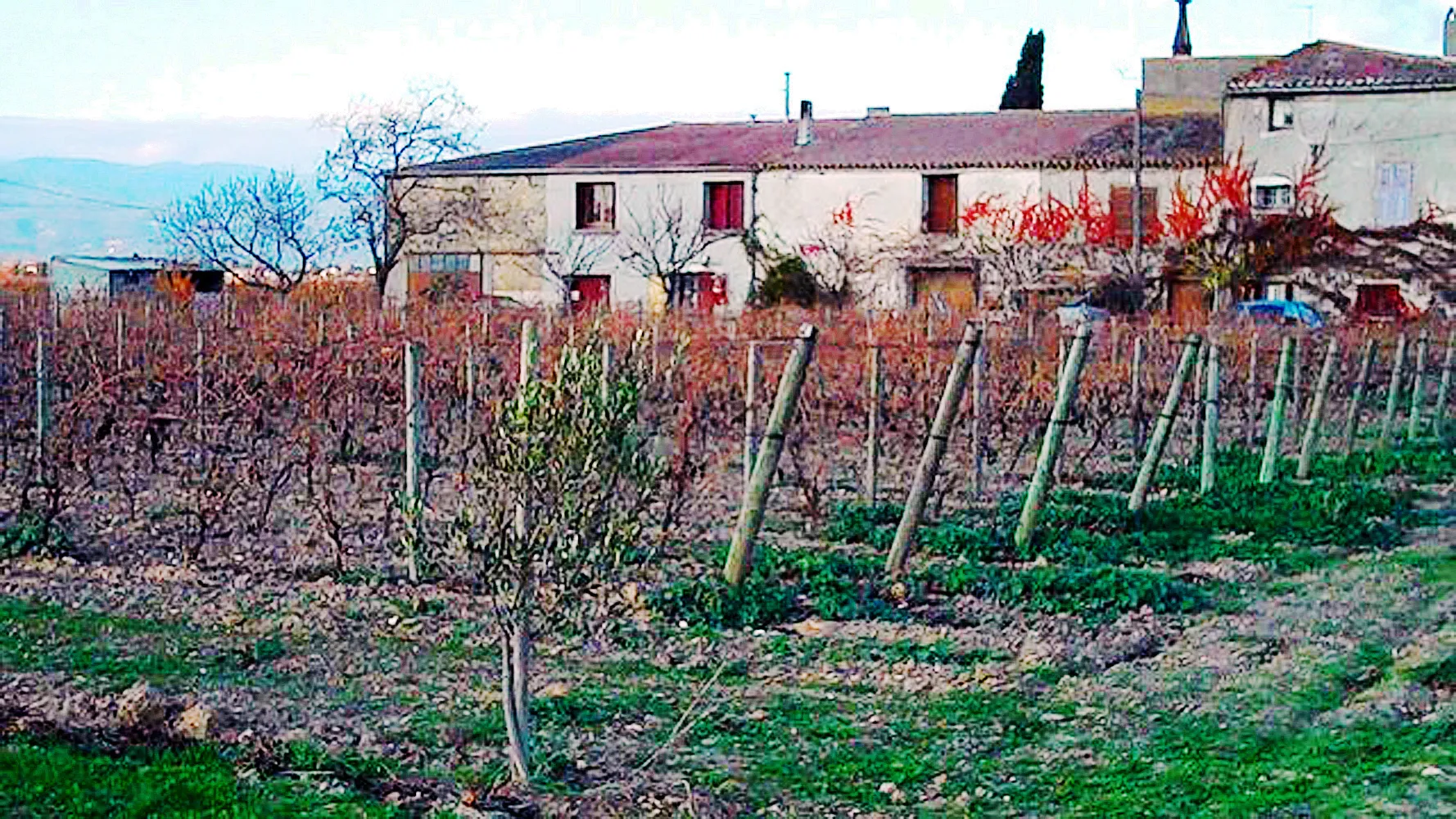 Afbeelding van Languedoc-Roussillon