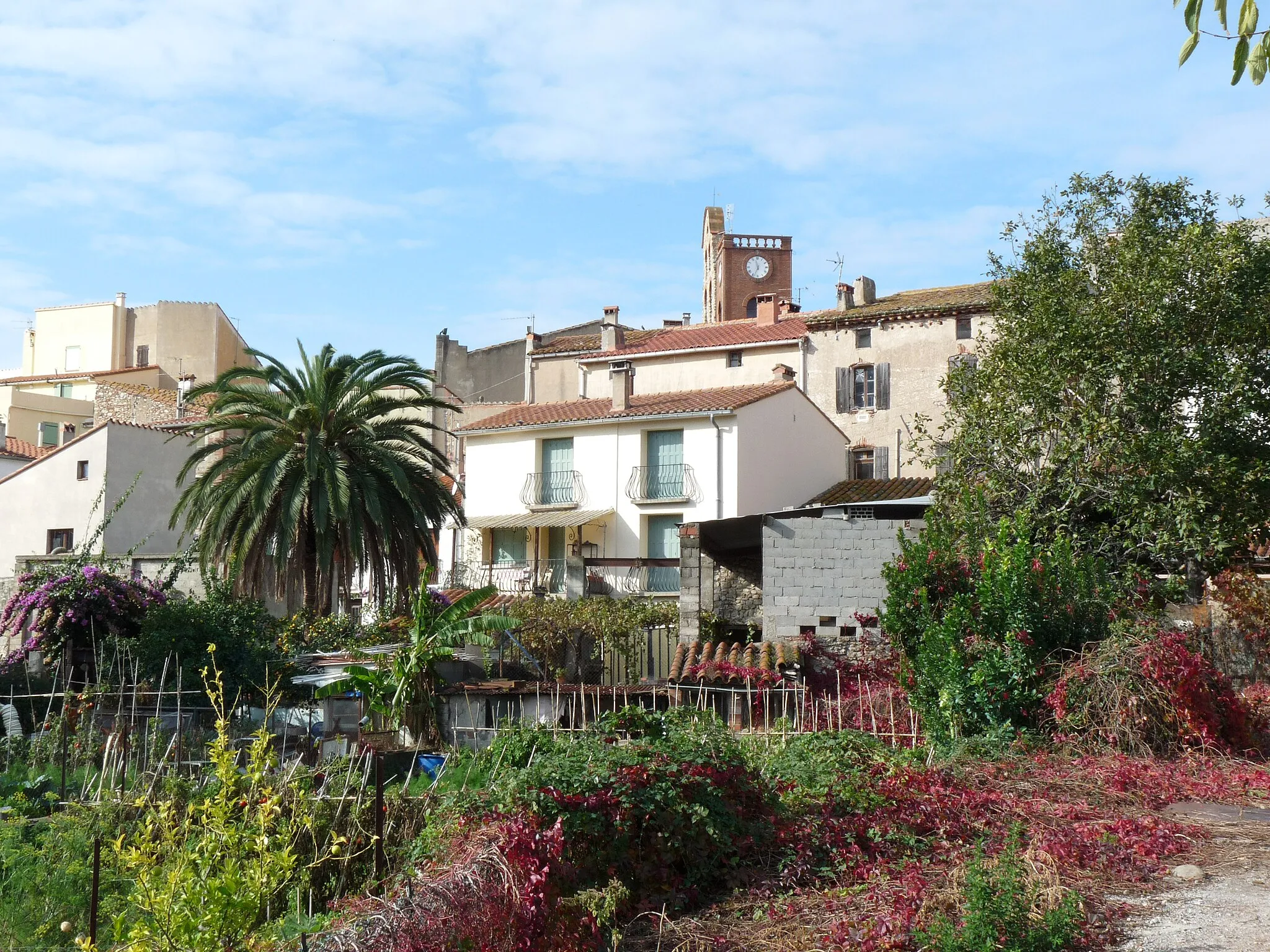 Photo showing: General view of the village of Sorède (France).