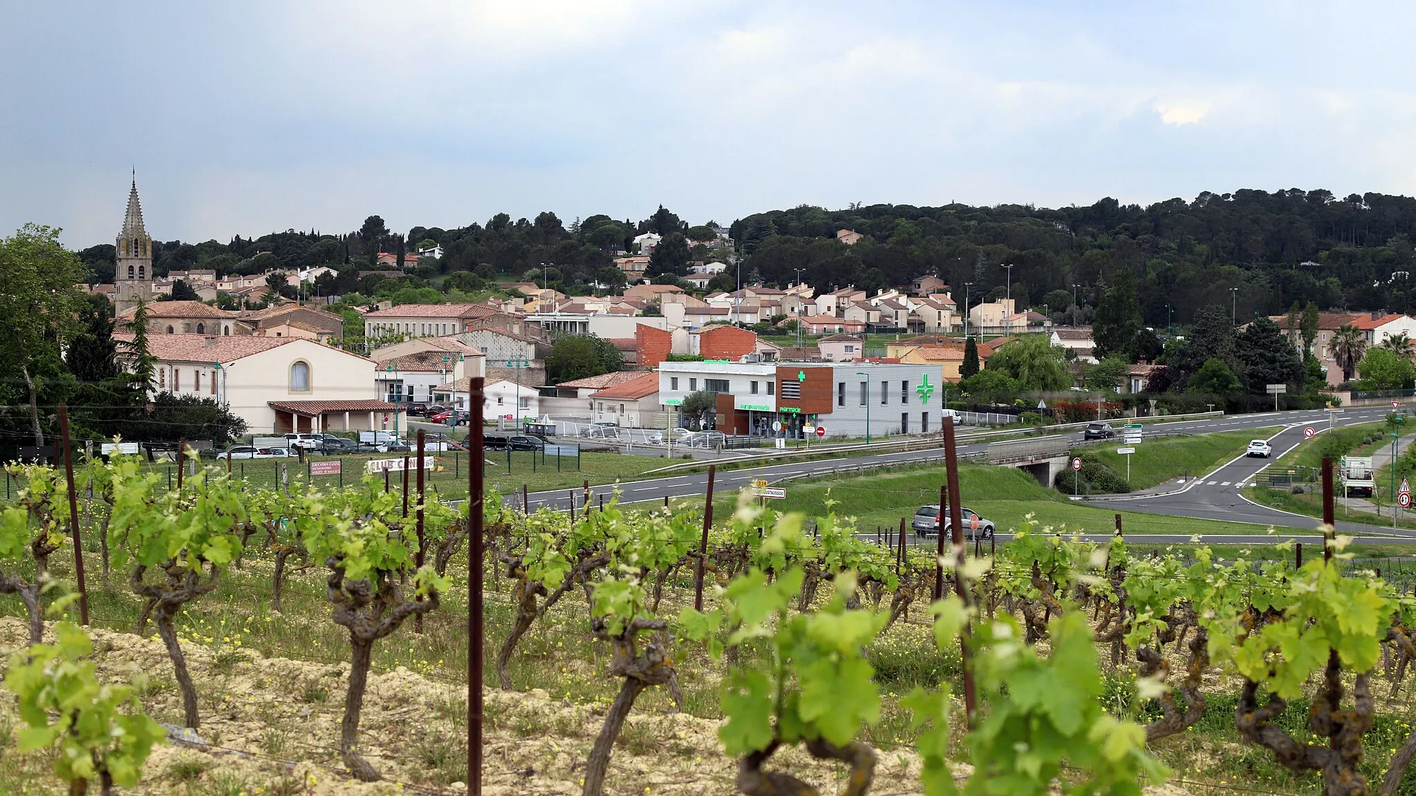 Bild von Languedoc-Roussillon