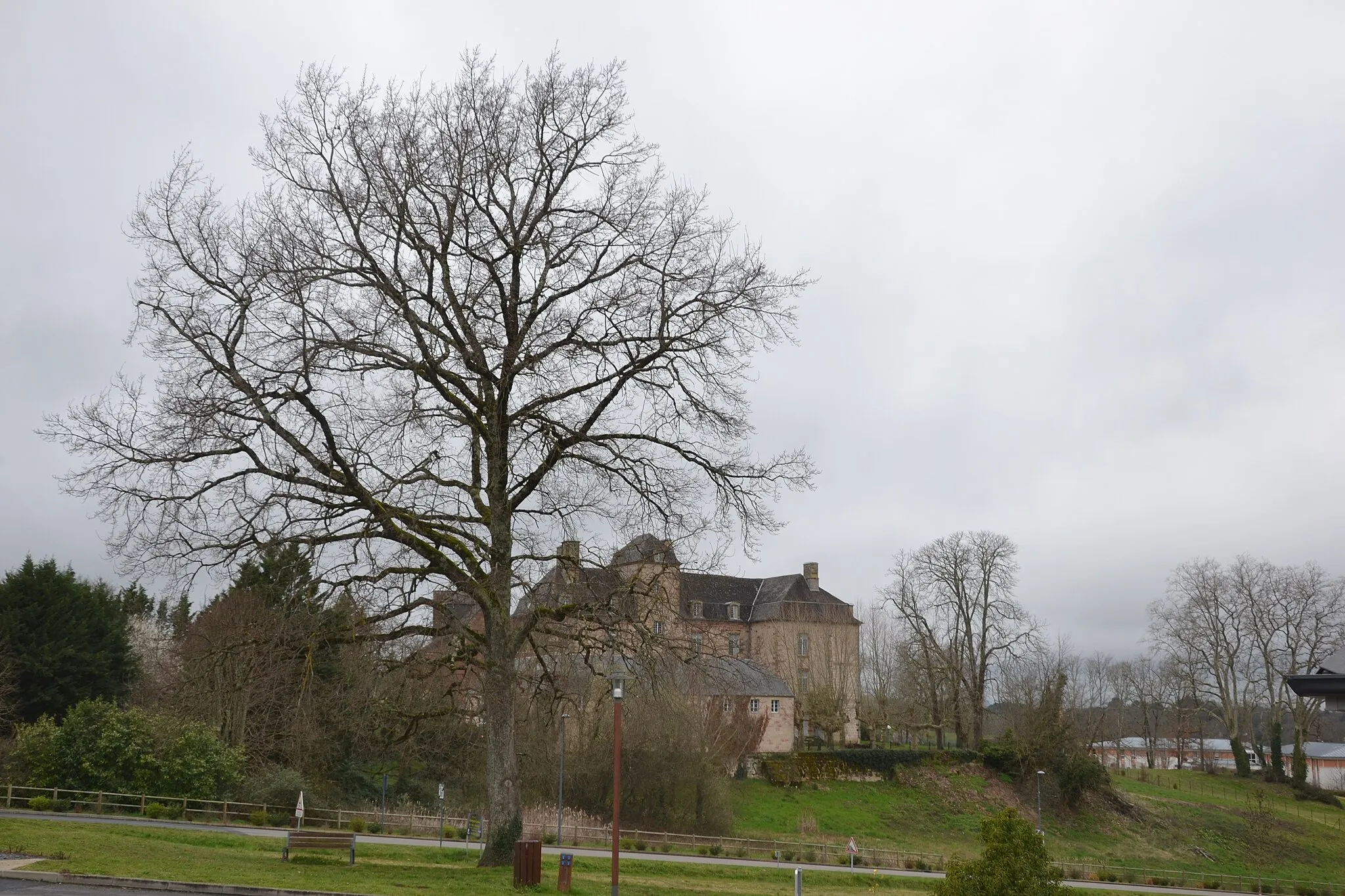Bilde av Limousin