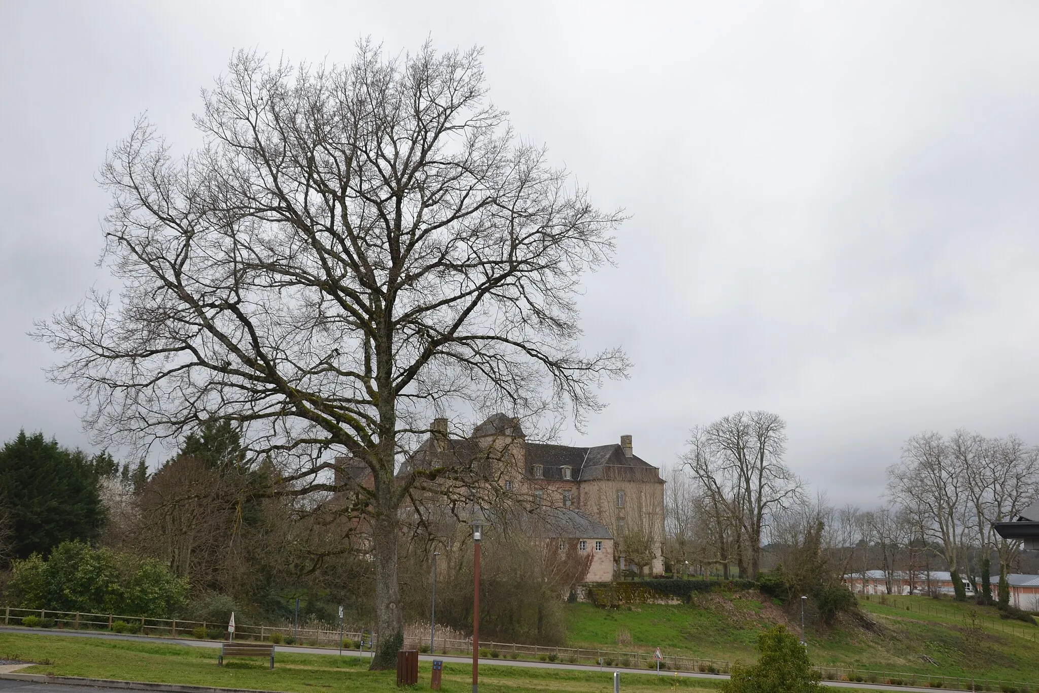 Image of Limousin