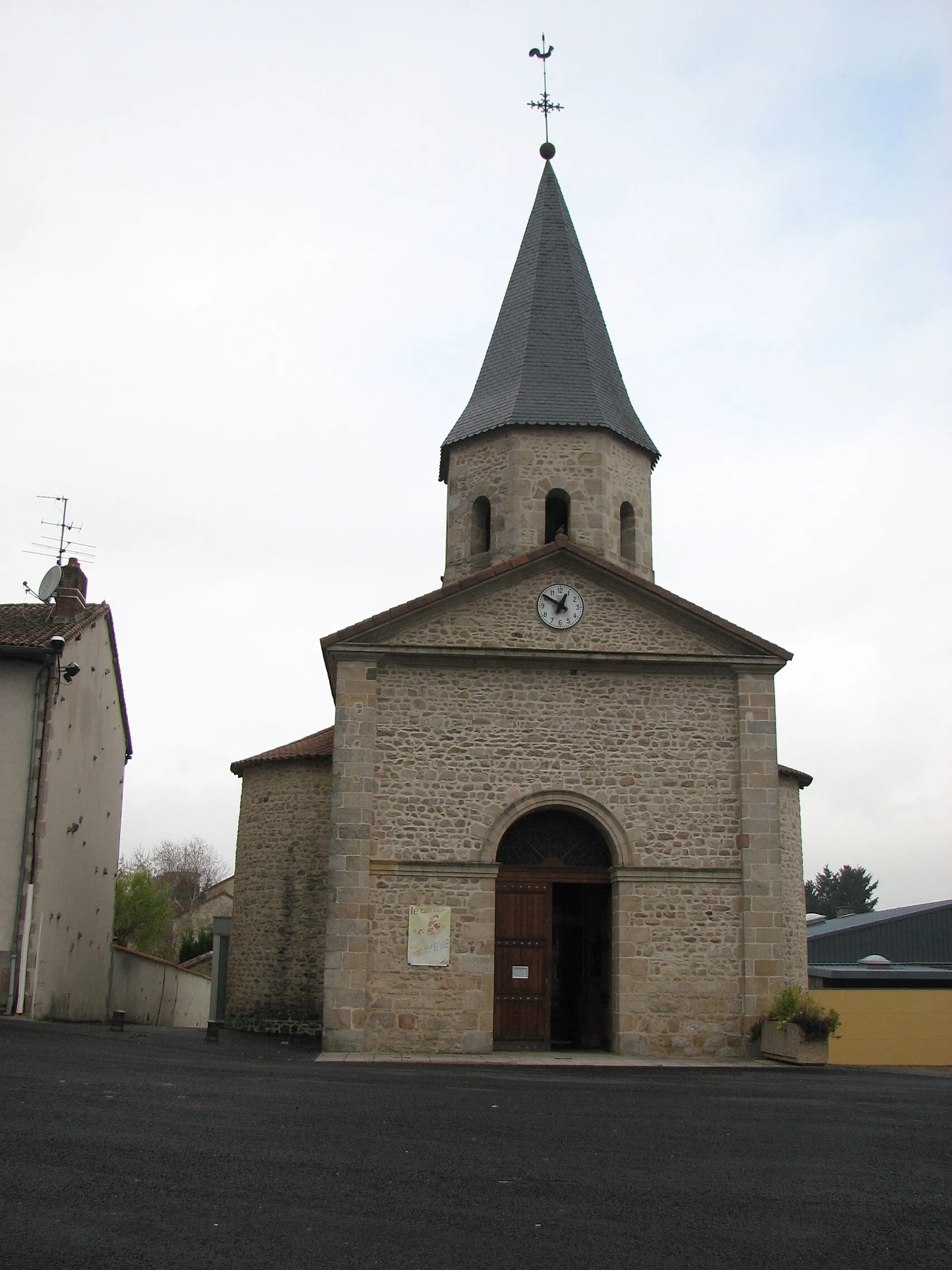 Image of Limousin