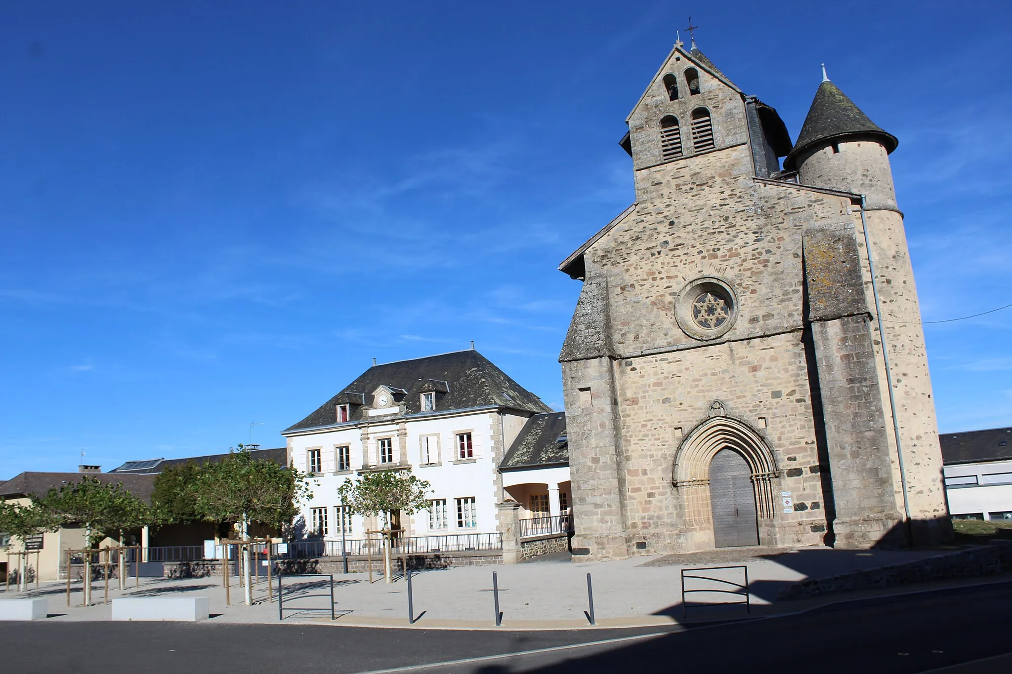 Image of Limousin