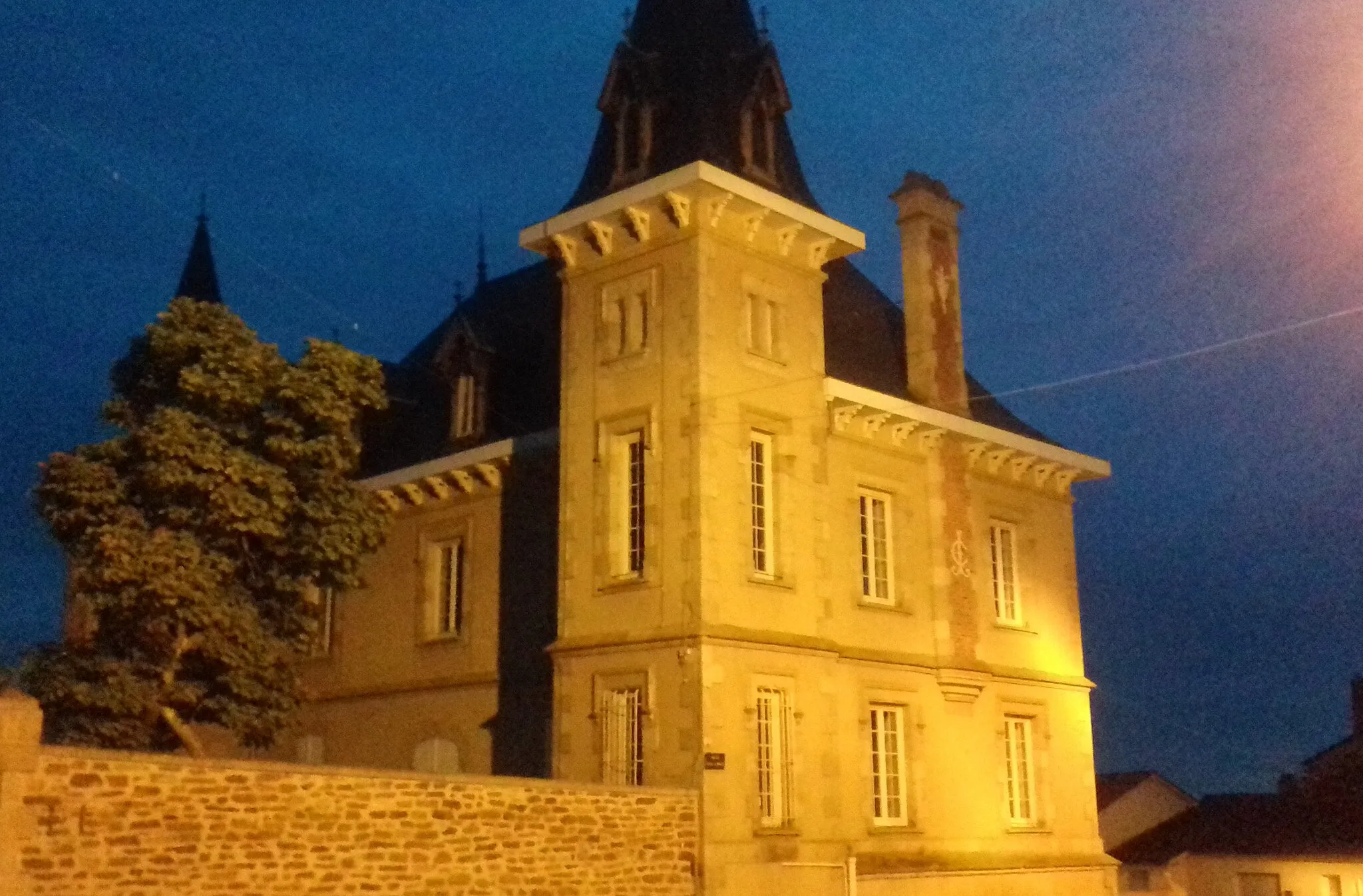 Image of Limousin