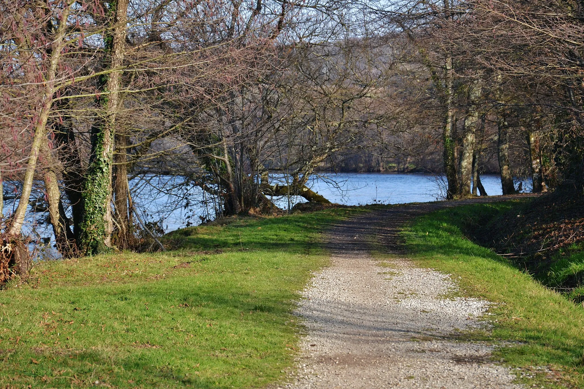 Photo showing: Le chemin piéton en bord de Vienne (rive gauche), vers l'amont (la Grèle, commune de Panazol)