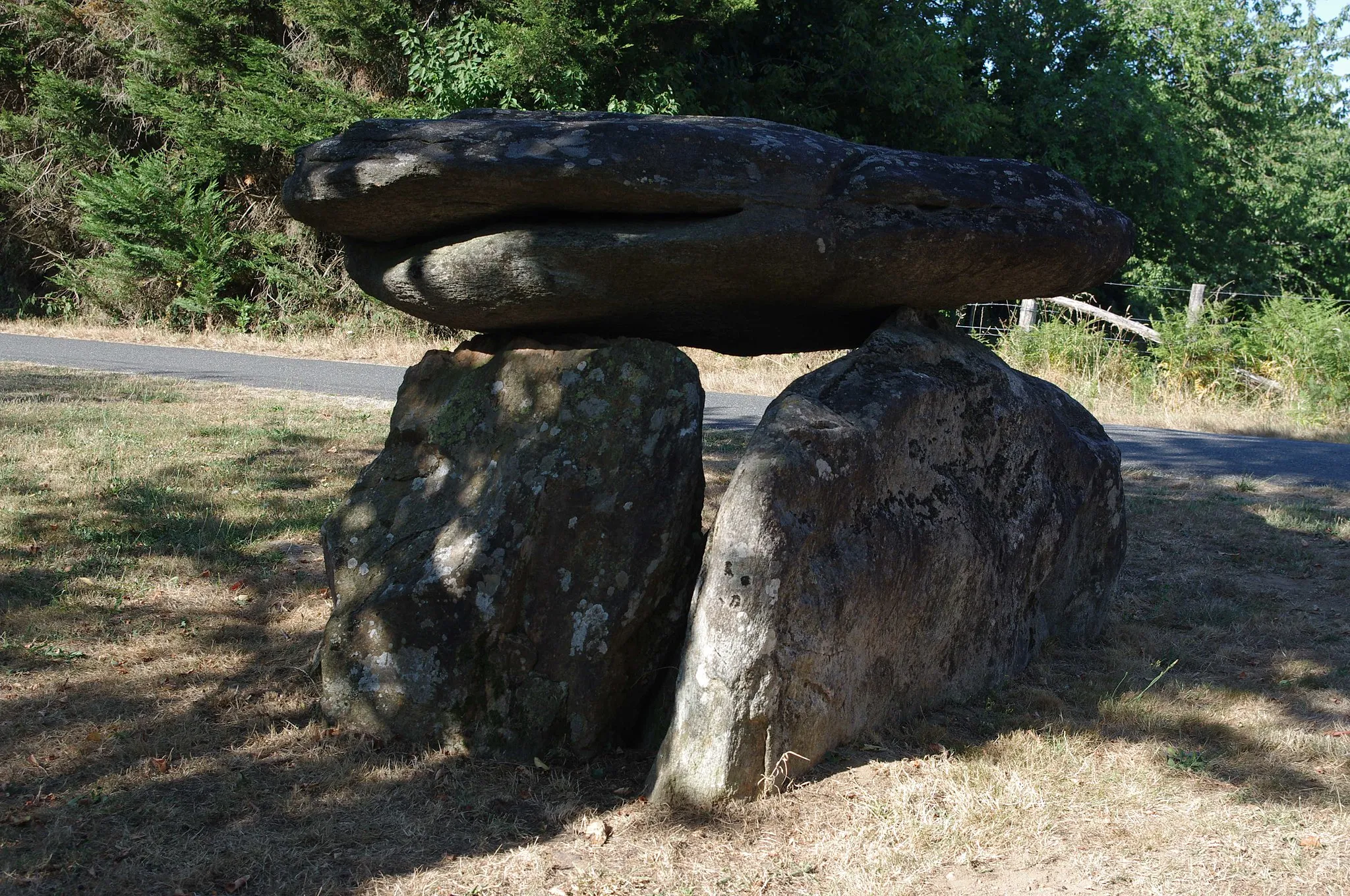 Photo showing: Dolmen de la Côte sur la commune de Saint Laurent sur Gorre, Haute Vienne.