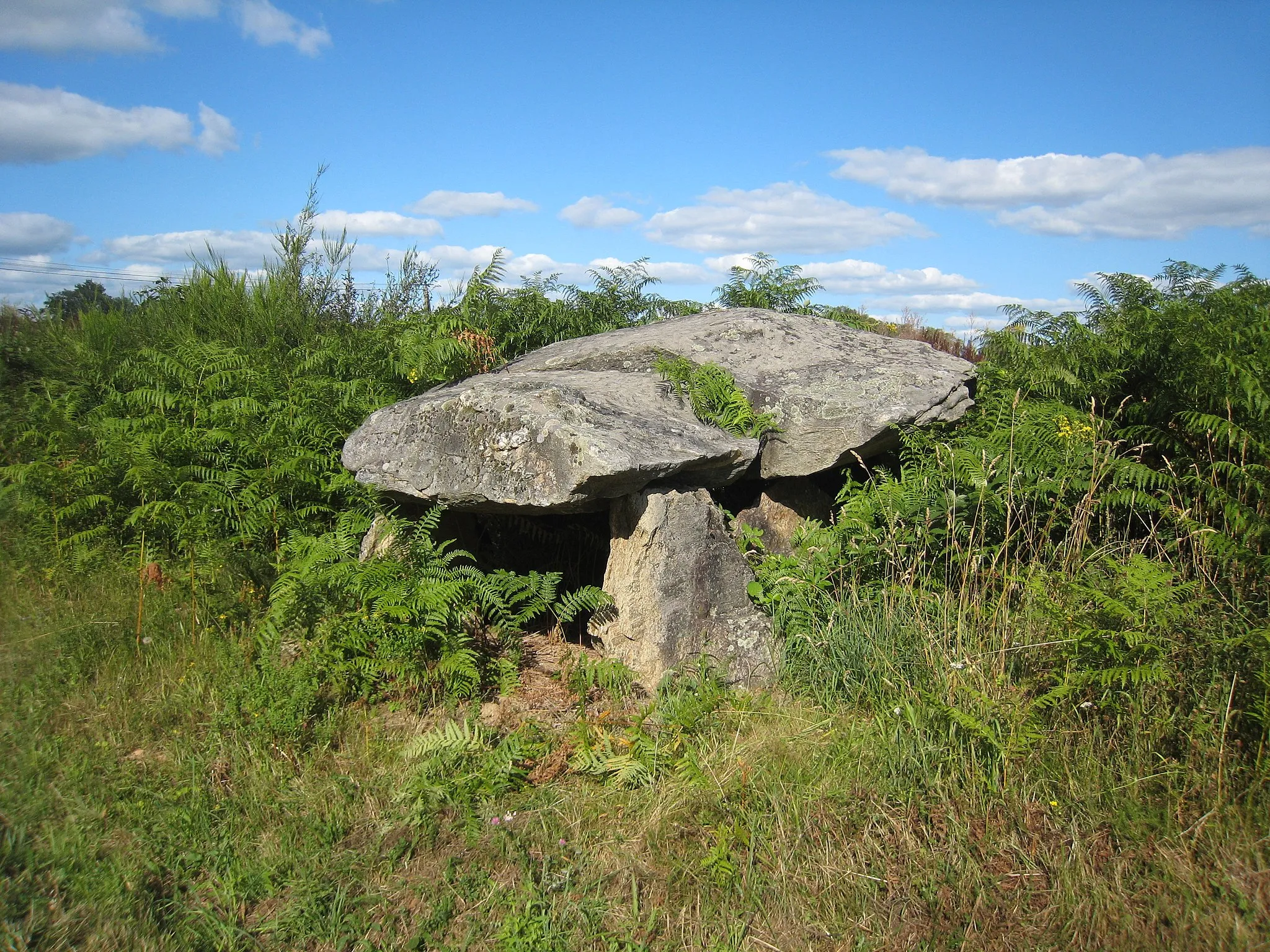 Photo showing: Le dolmen de Verneuil sur Vienne