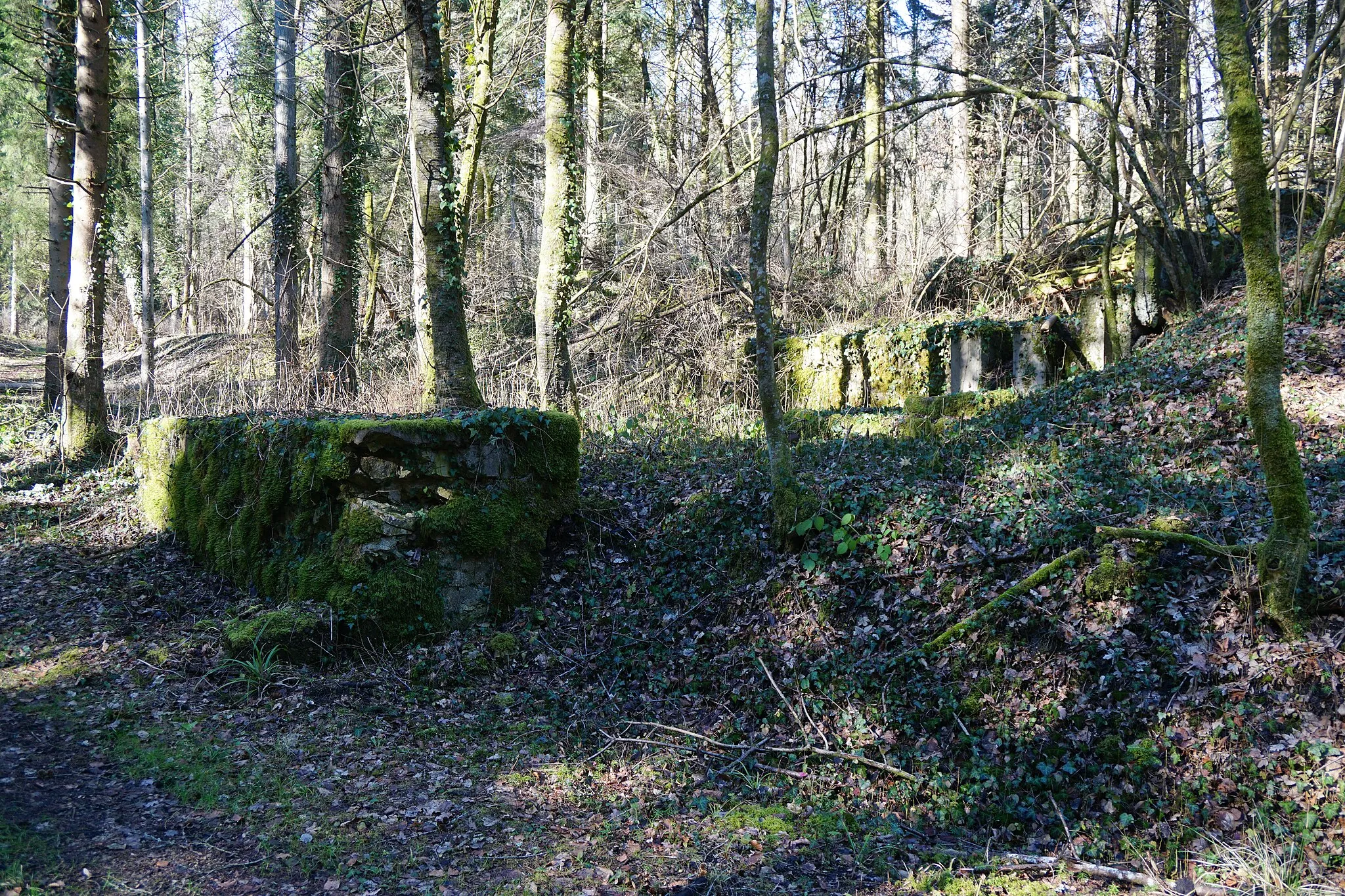 Photo showing: Ruines des bâtiments et vestiges des installations de la galerie des années 1940 (Concession de Suriauville).