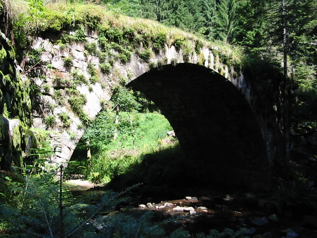 Photo showing: Gérardmer (département des Vosges, France)
Le Pont des Fées, sur la Vologne.
Copyright © Christian Amet