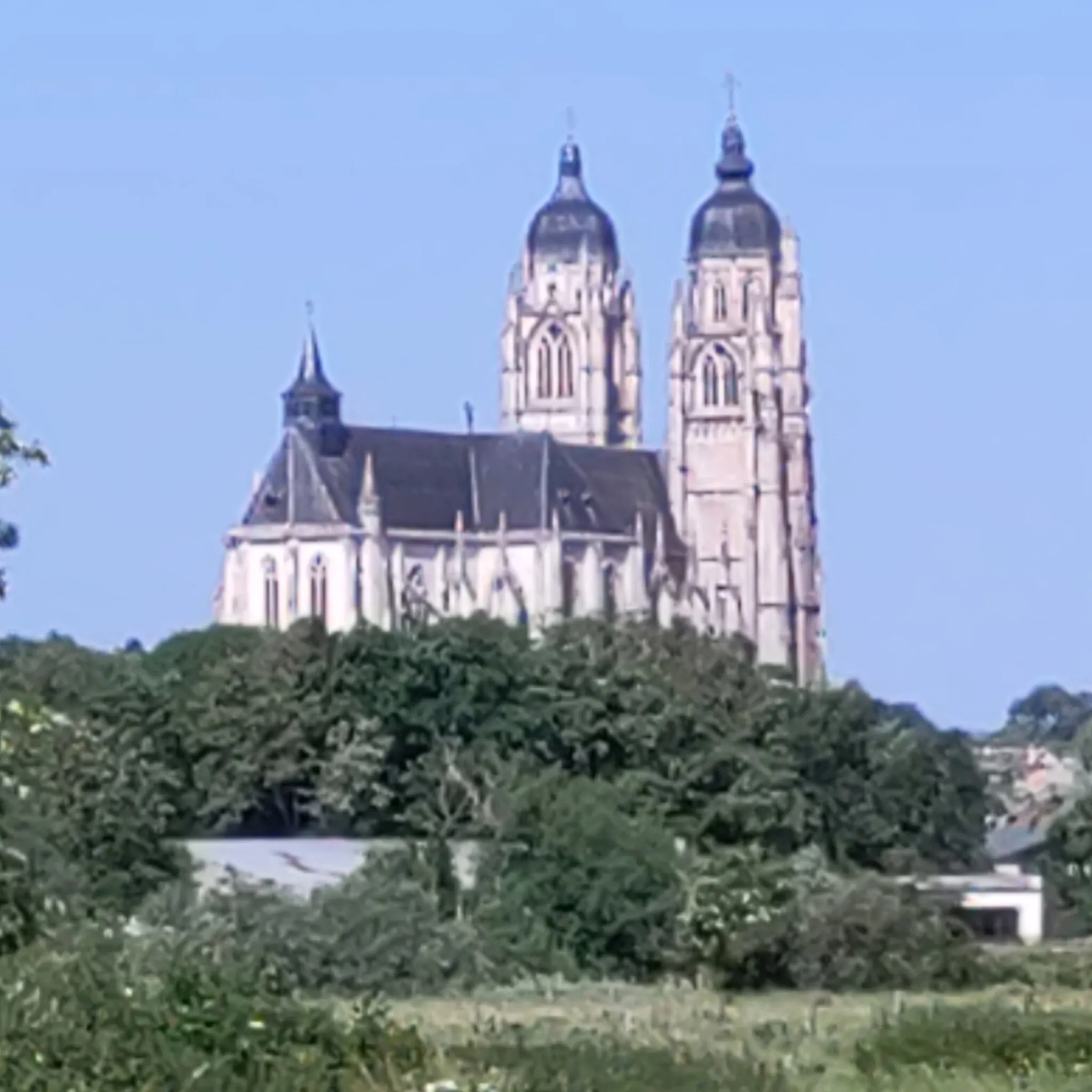 Photo showing: La basilique vu depuis le prieuré de Varangéville