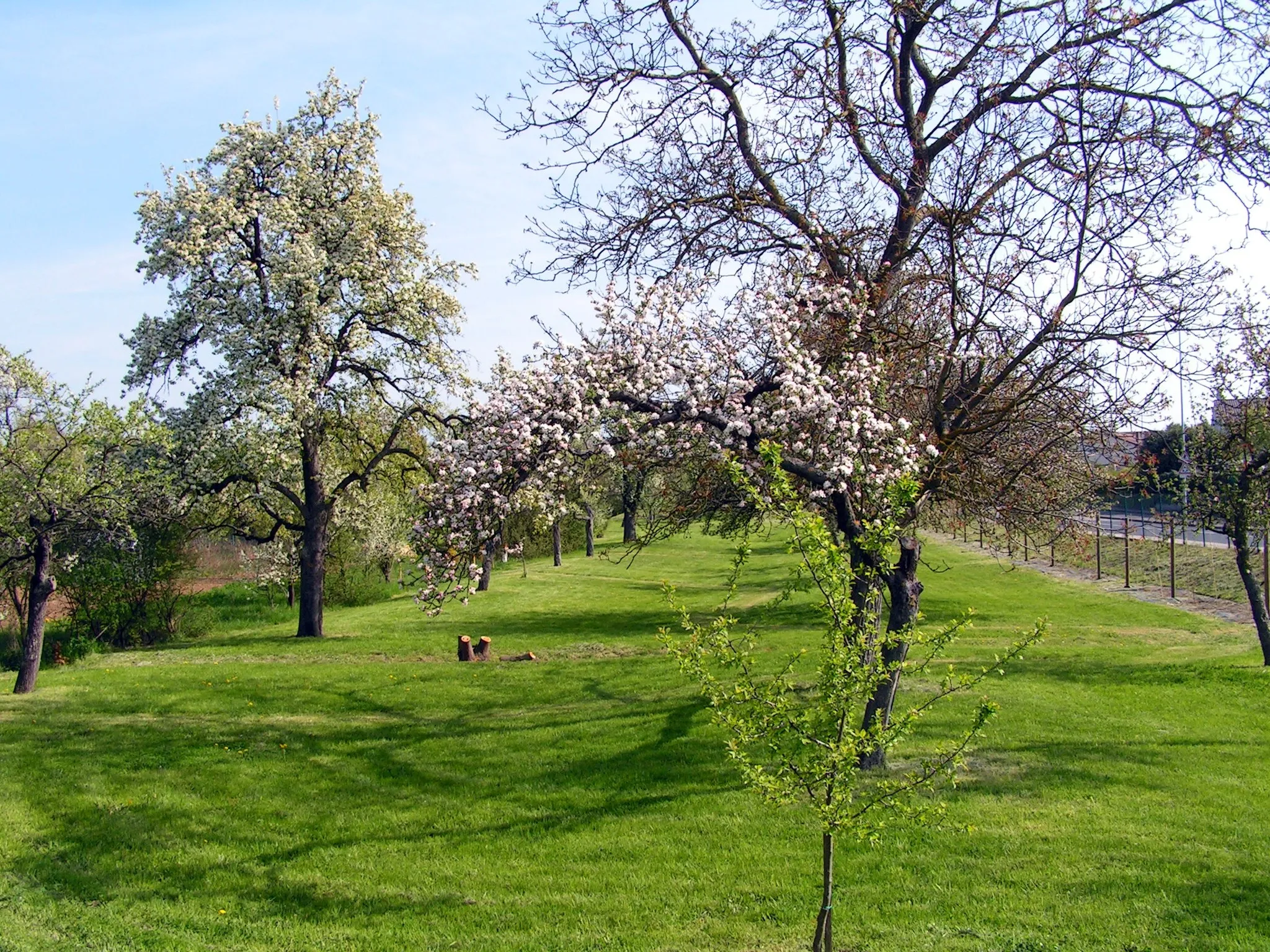 Photo showing: Jardin, Rue du Jardin Roussel, Seichamps, Meurthe-et-Moselle, France