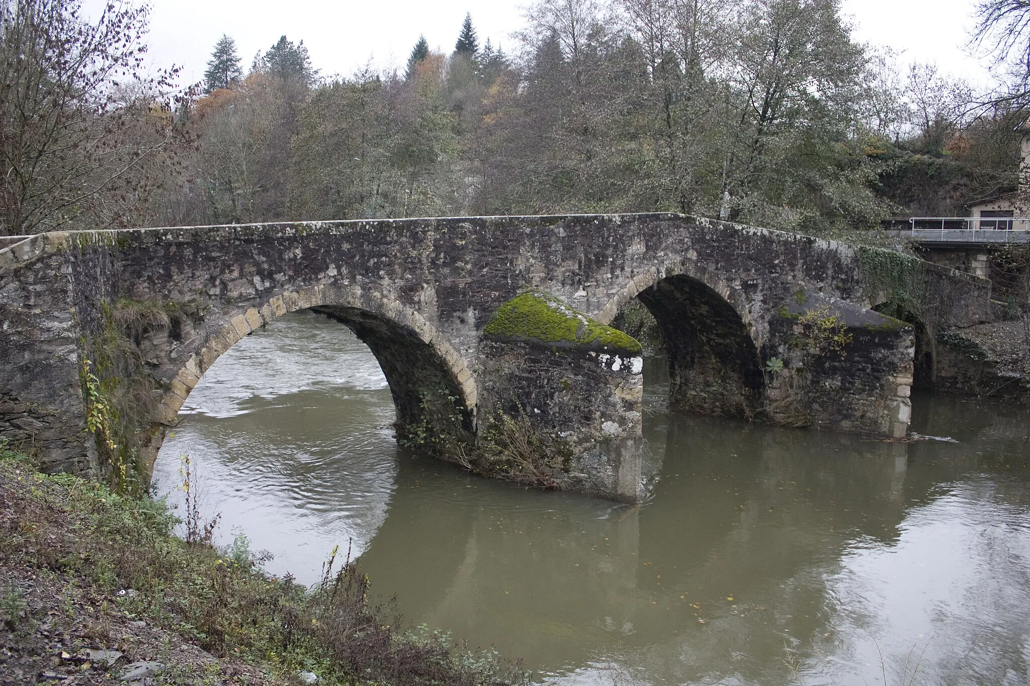 Photo showing: Roman bridge, view from the path to Conques (13th century or early 14th century).