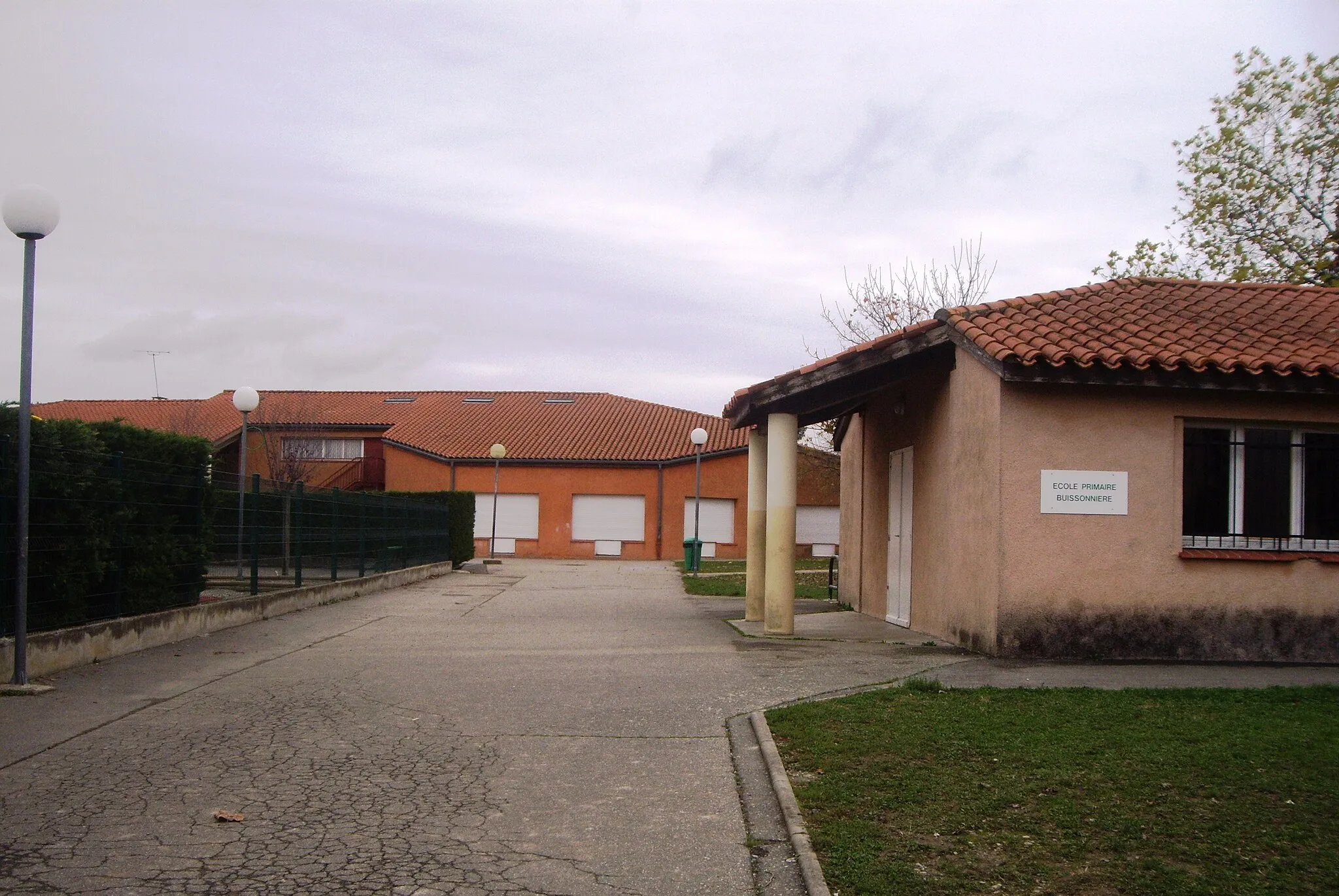 Photo showing: buissonnière primaire