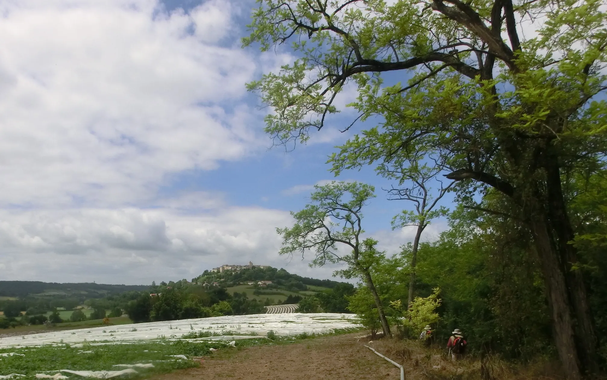 Photo showing: Lauzerte sur son promontaire.