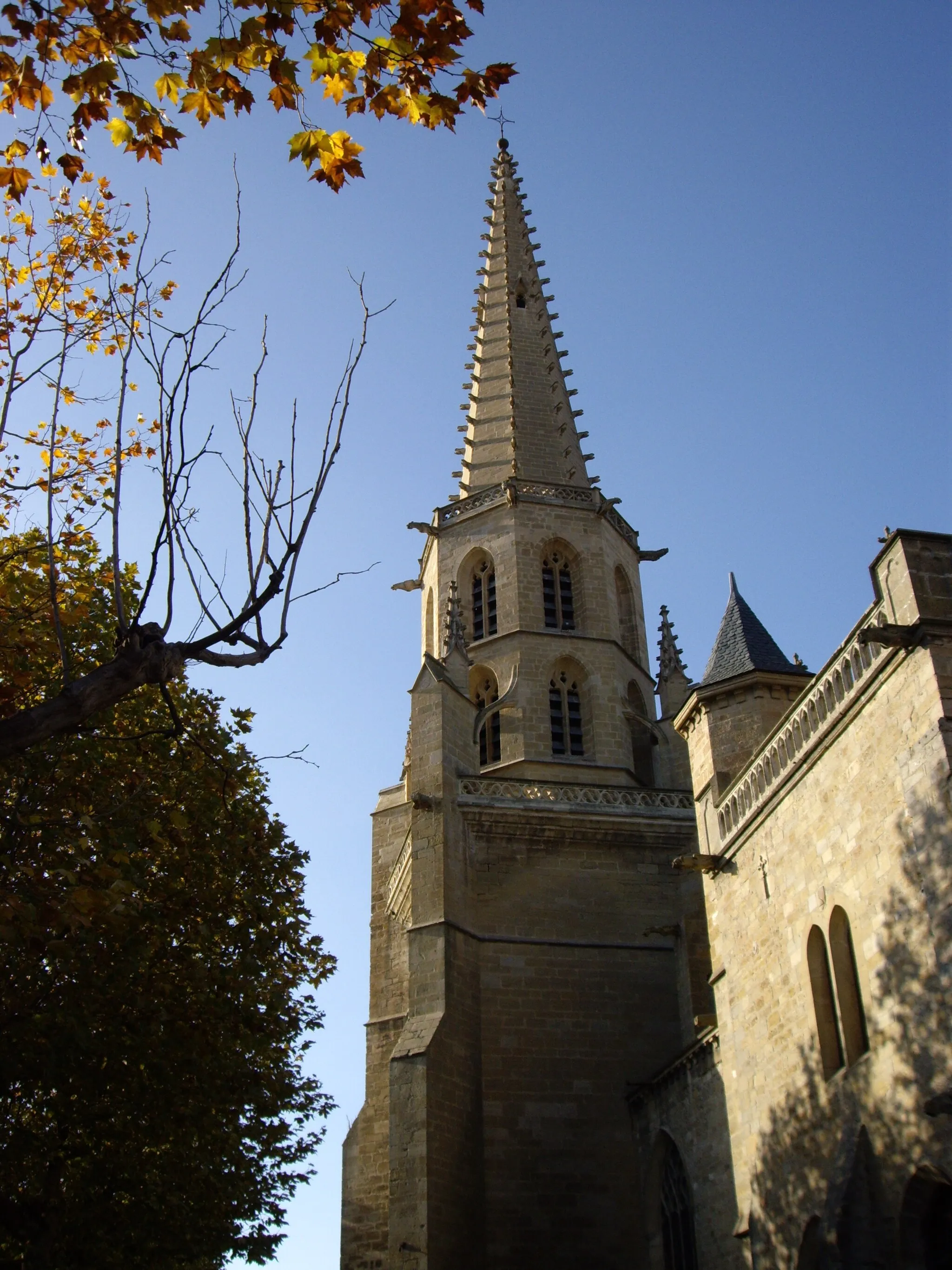 Photo showing: Cathédrale Saint-Maurice de Mirepoix