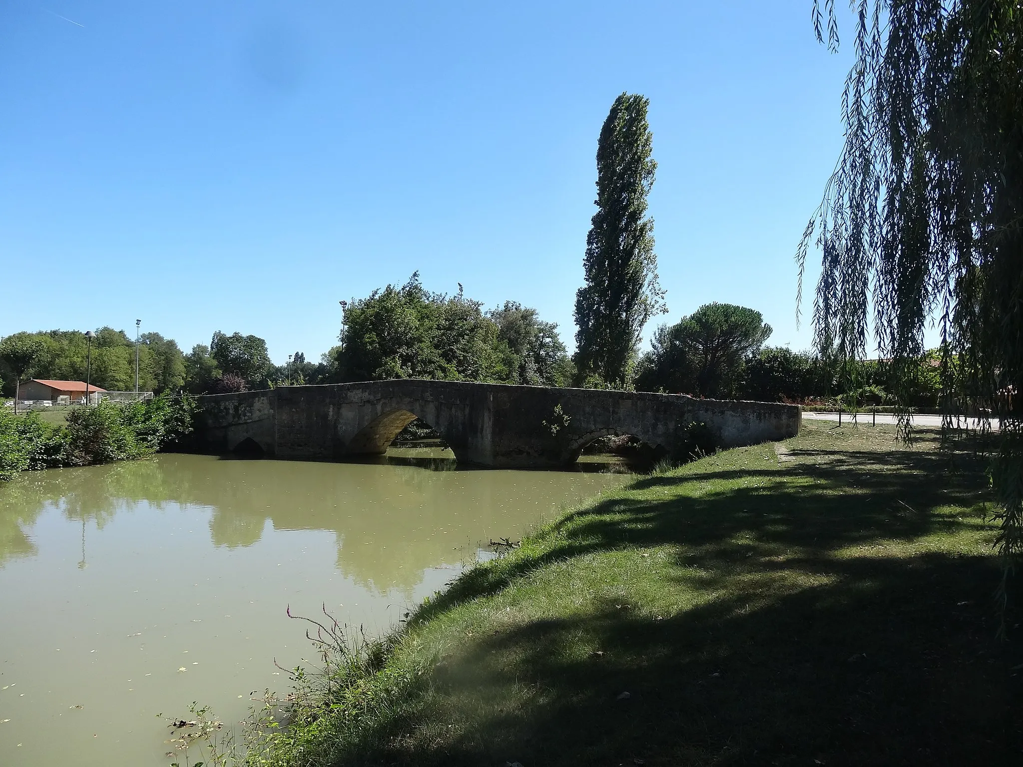 Photo showing: Vieux pont de Pavie.