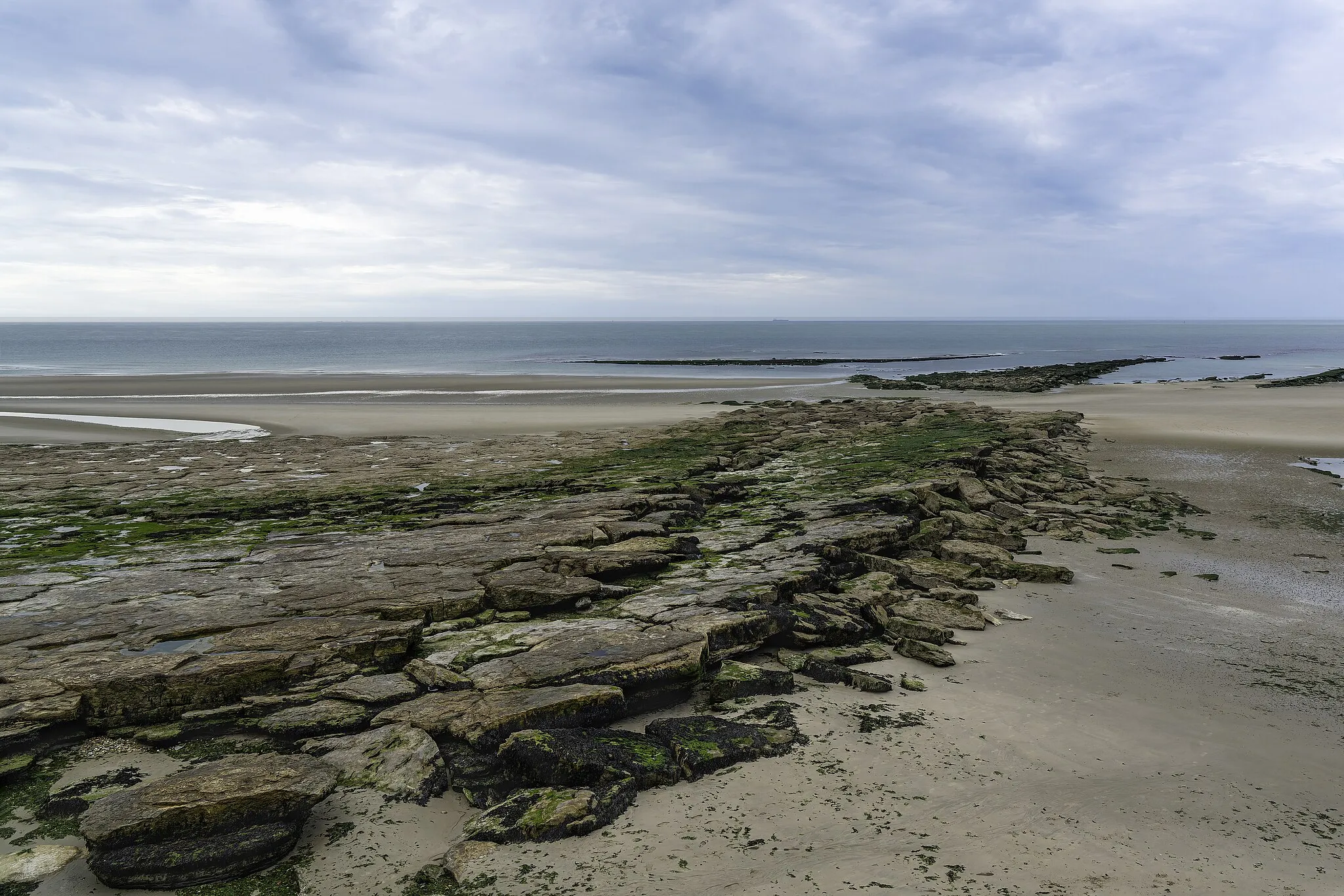 Photo showing: Les rochers couverts d'algues sur la plage d'Ambleteuse à marée basse.