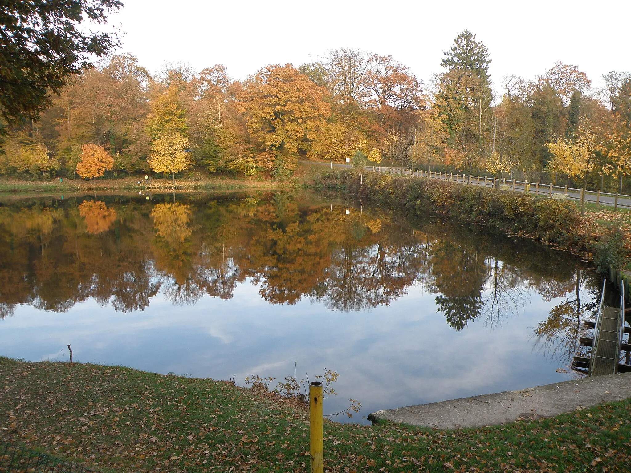 Photo showing: Un des très nombreux étangs d'ANor: l'étang de Milourd.