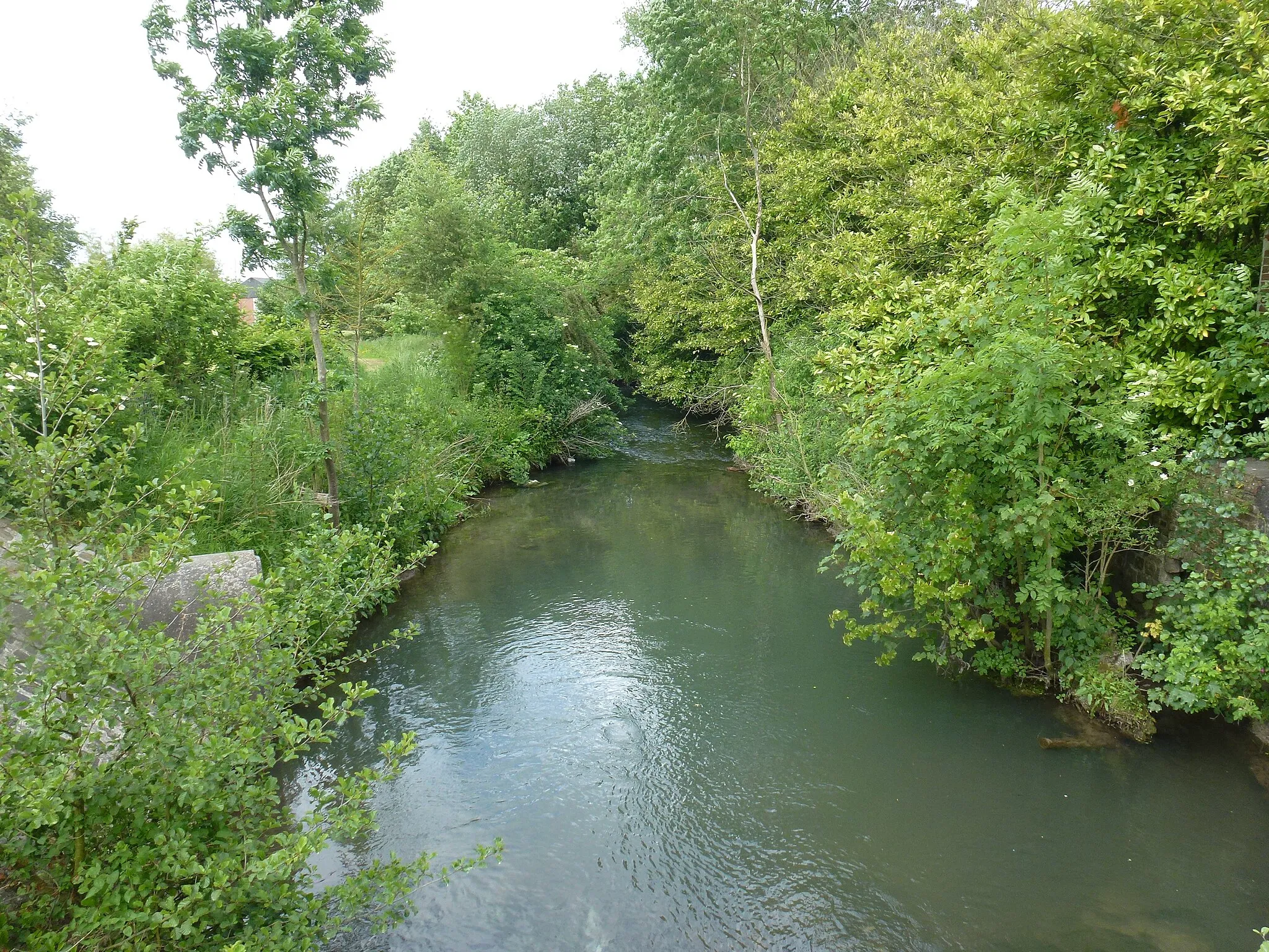 Photo showing: La Rhonelle à Aulnoy-lez-Valenciennes,  commune du Nord, (ancien Comté de Hainaut) France.