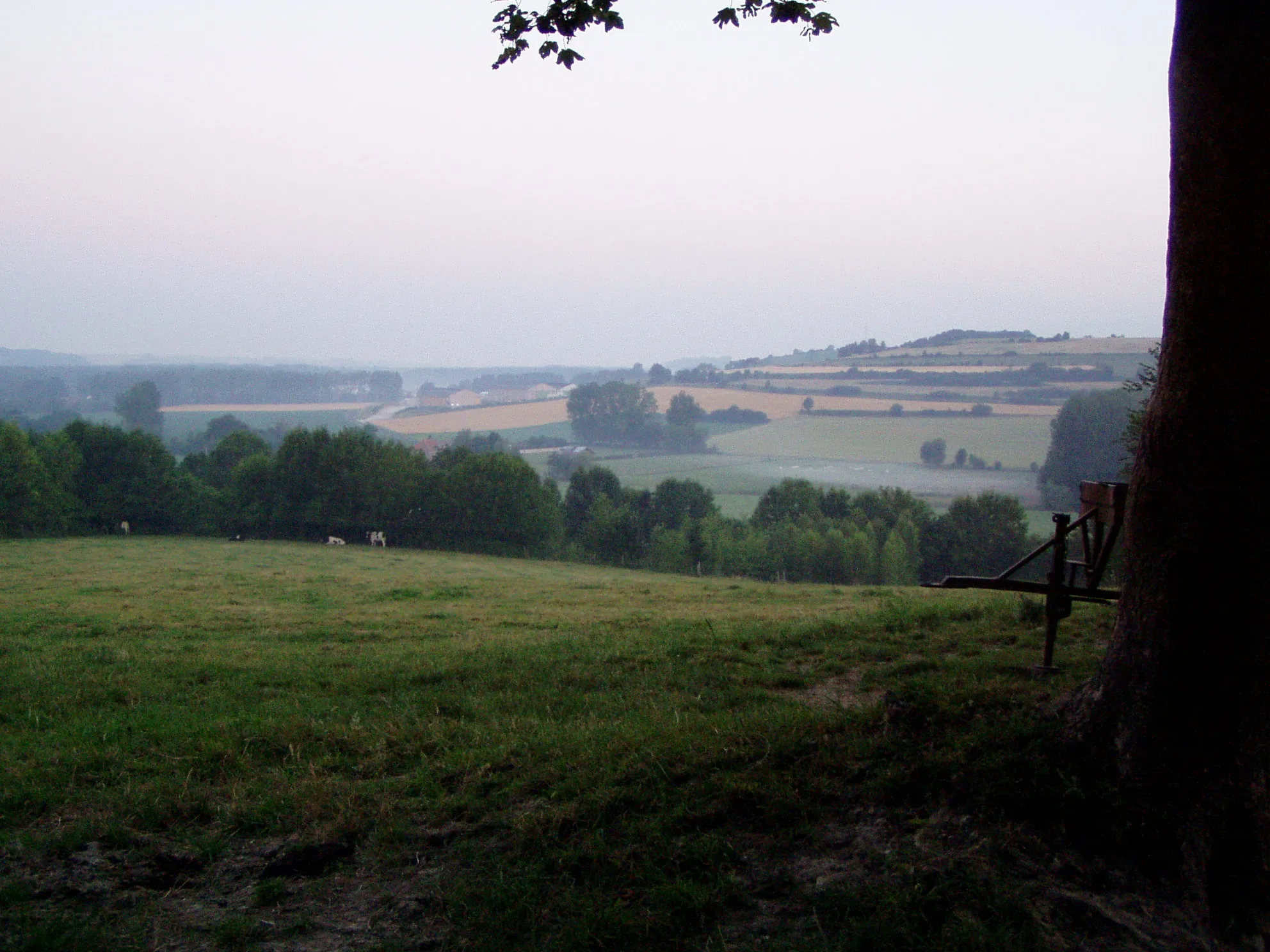 Photo showing: fields near the street of Mont Blanc at Beaurainville early in the morning (France)