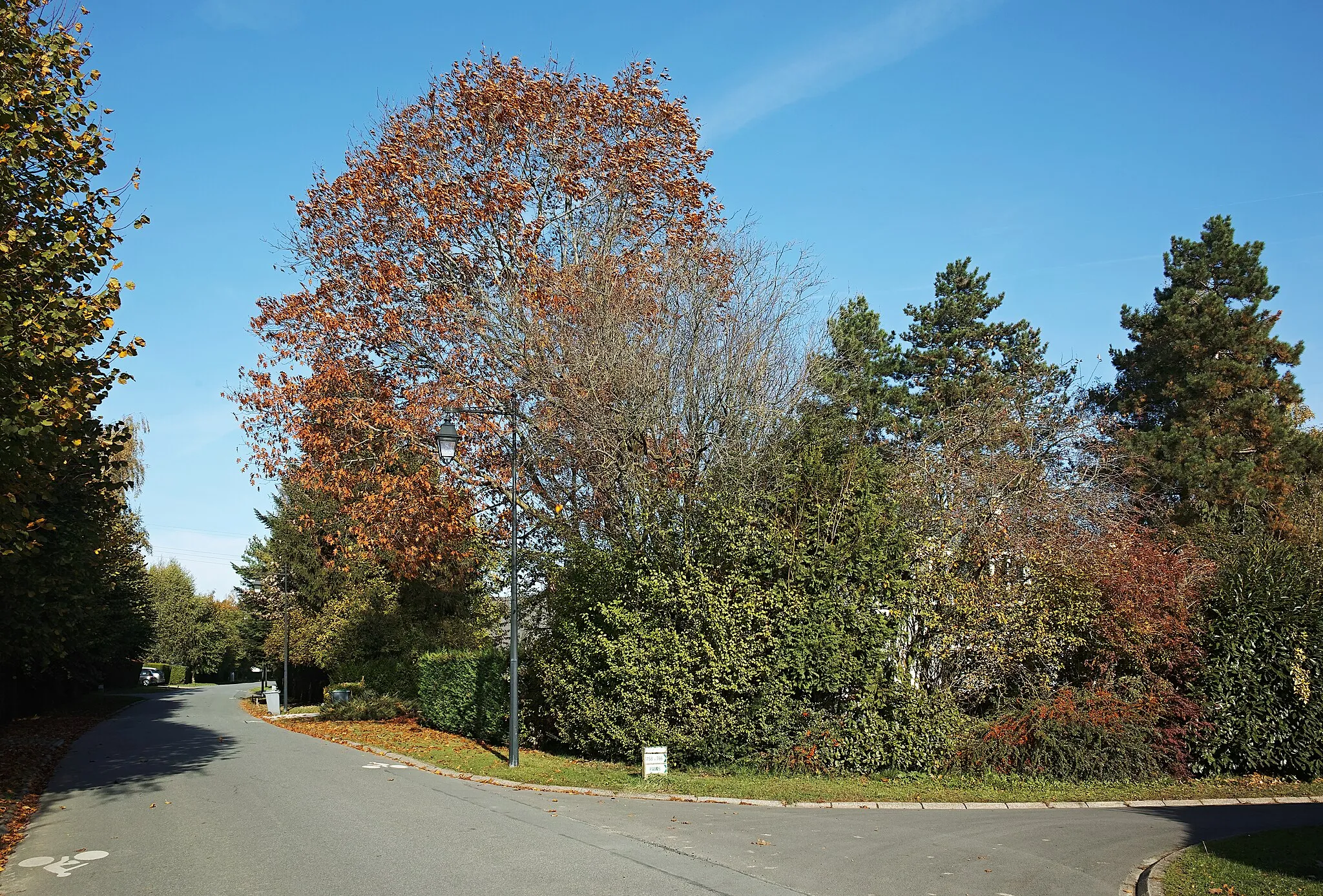 Photo showing: View of Domaine de la Vigne, Voie 216, in Bondues.