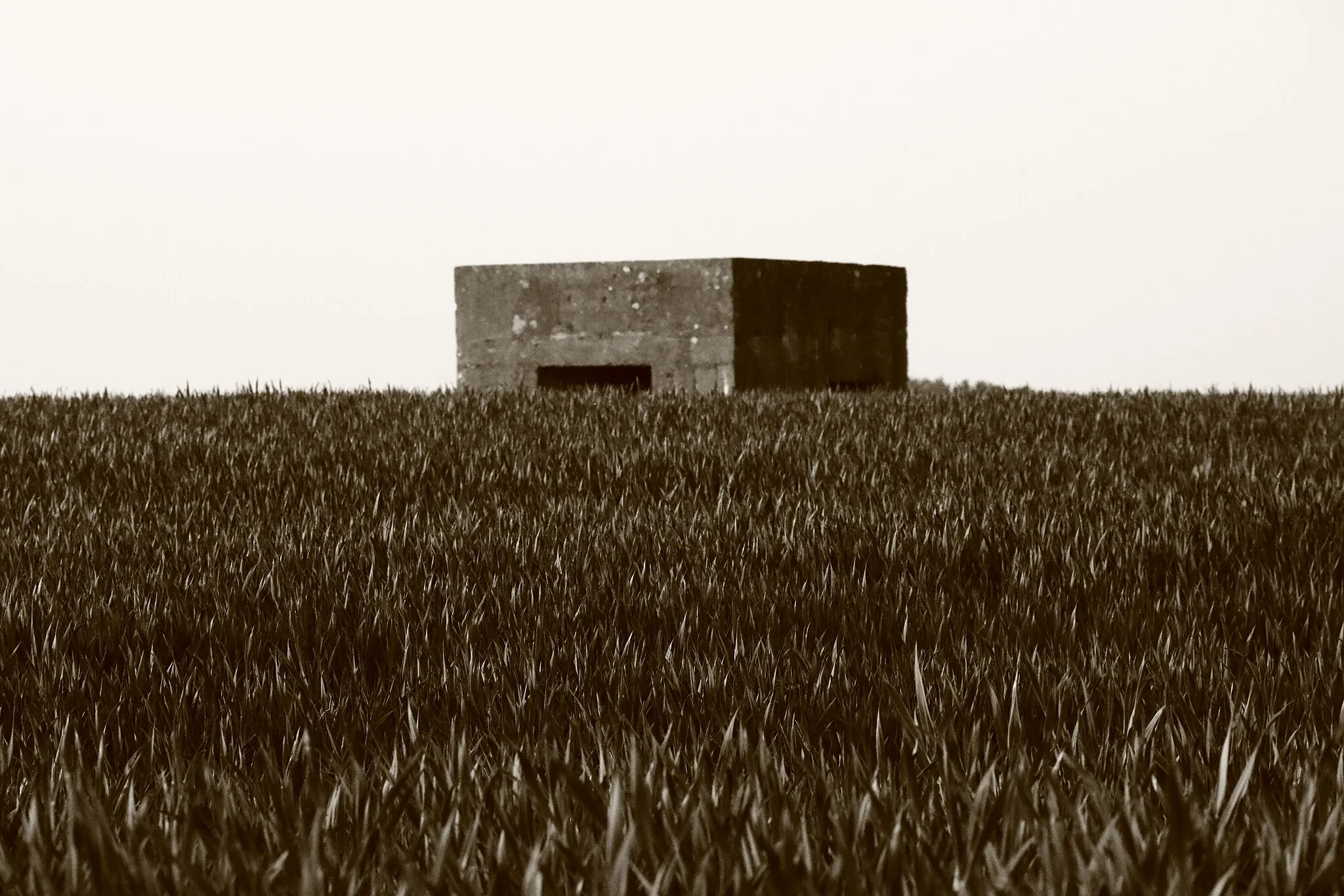 Photo showing: Bunker au milieu d'un champ entre Bourghelles et Wannehain