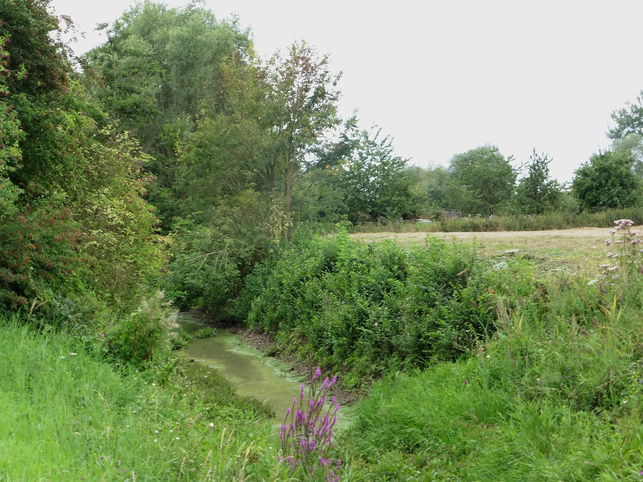 Photo showing: Le courant de Coutiches à Bouvignies (Nord) dans le Nord région Hauts-de-France.