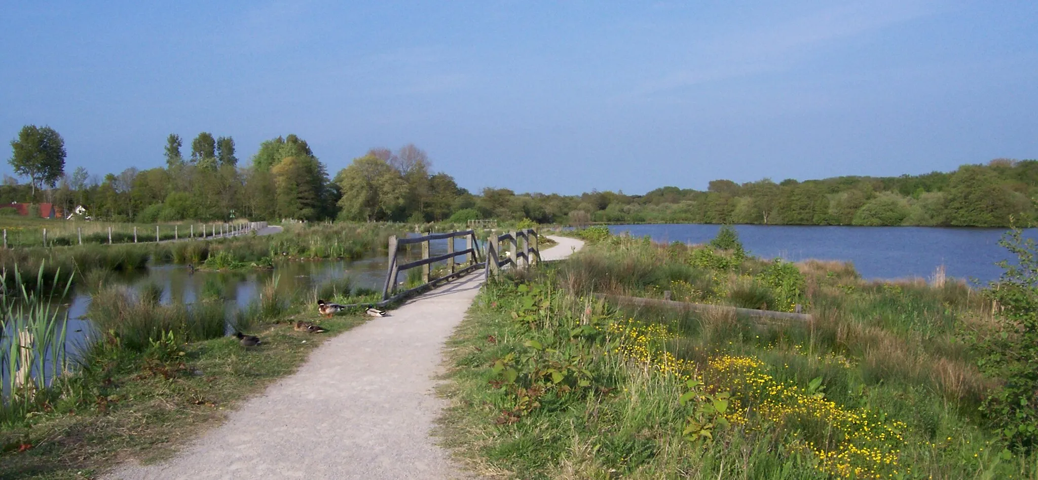 Photo showing: Étang et marais de Condette, Pas de Calais, France. Le site est classé pour sa qualité écologique au niveau régional. La photographie montre les aménagements réalisés en 2008 : chemin, requalification et plantations dans le marais.