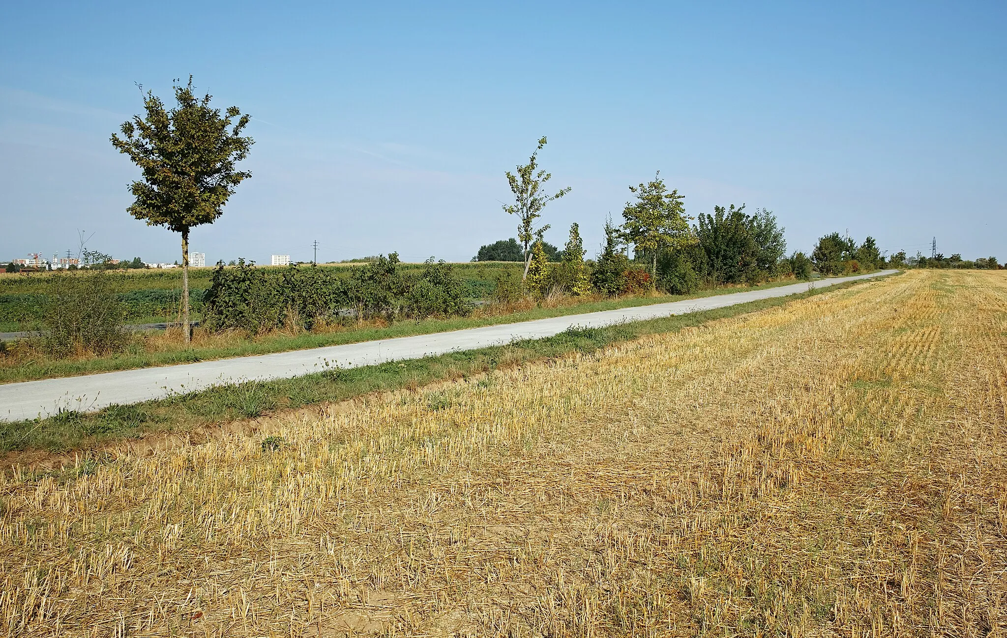 Photo showing: Chemin des Périseaux, in Faches-Thumesnil.