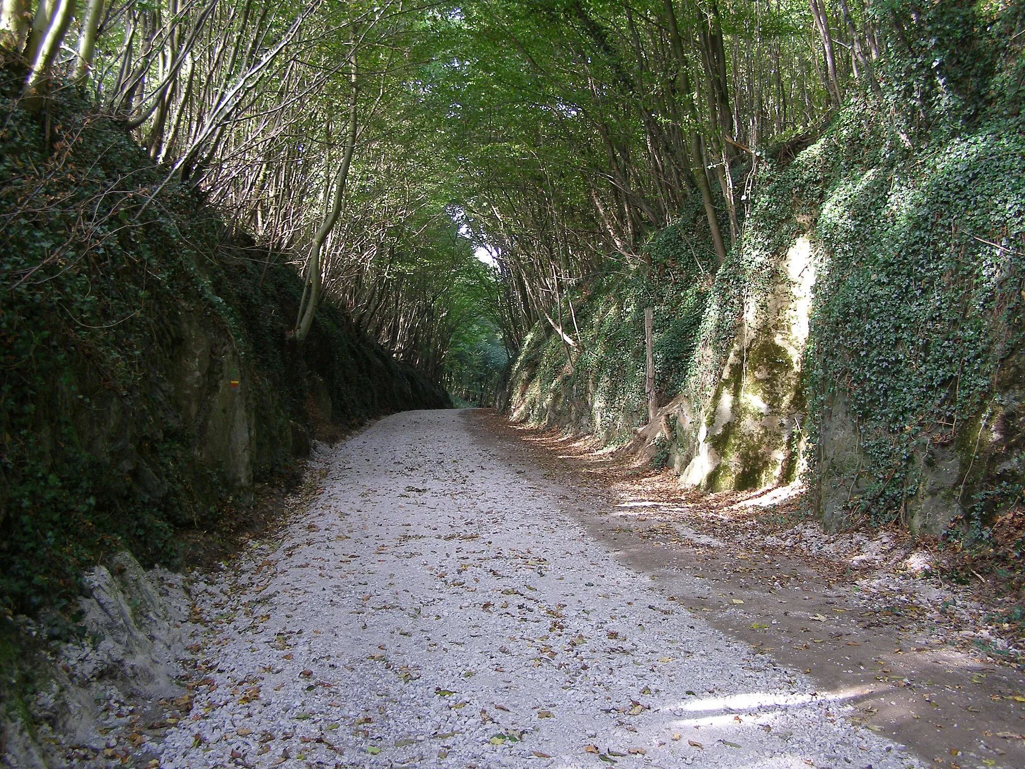 Photo showing: Voute boisée sur le sentier émeraude.