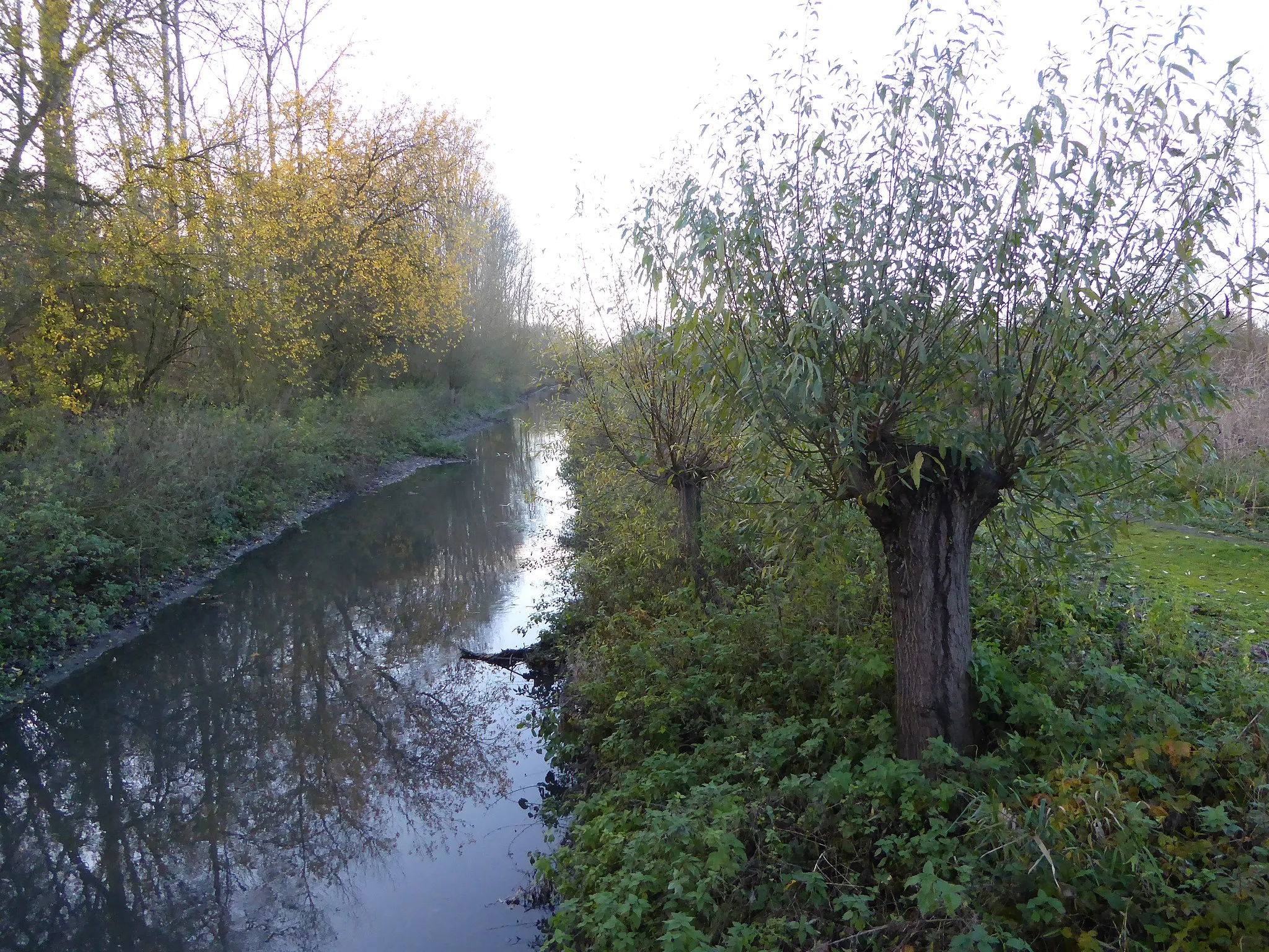 Photo showing: La Marque à Fretin à hauteur du Marais de Bonance