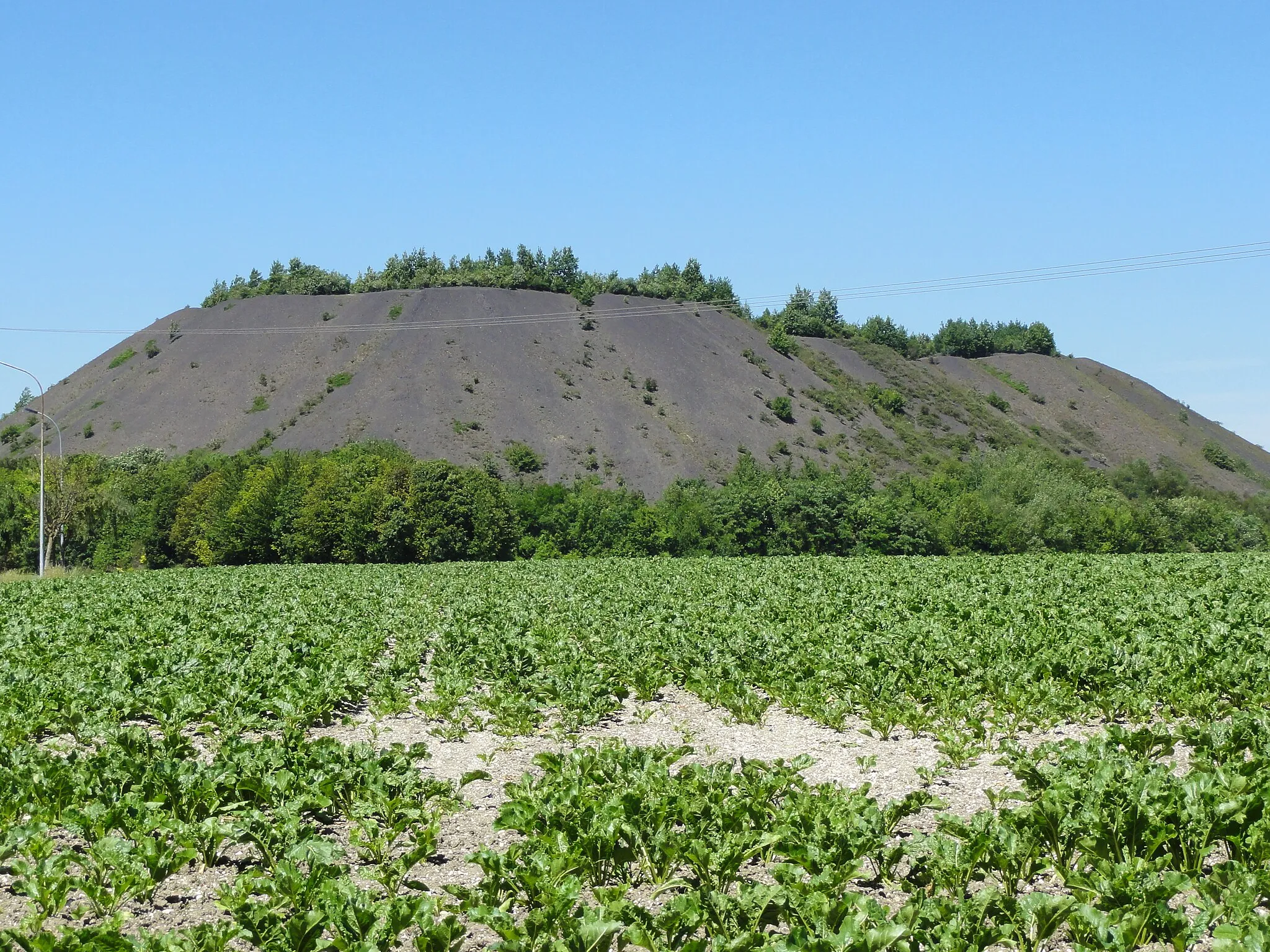 Image de Nord-Pas de Calais