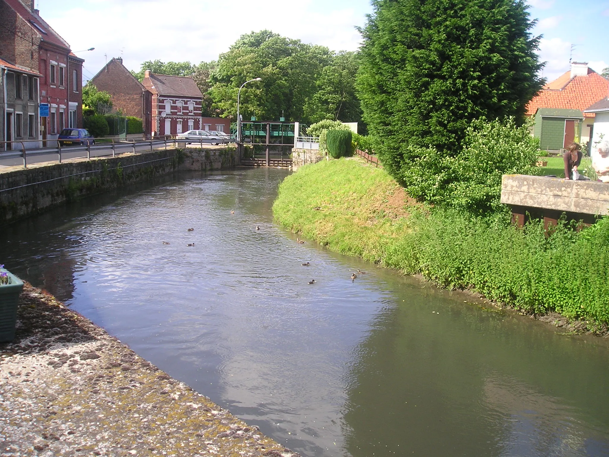 Photo showing: La Lawe, l'écluse, les canards.