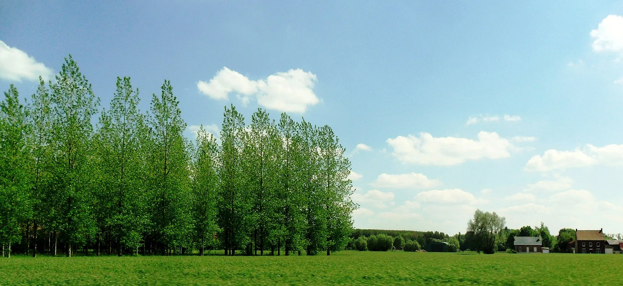 Photo showing: Near Bethune