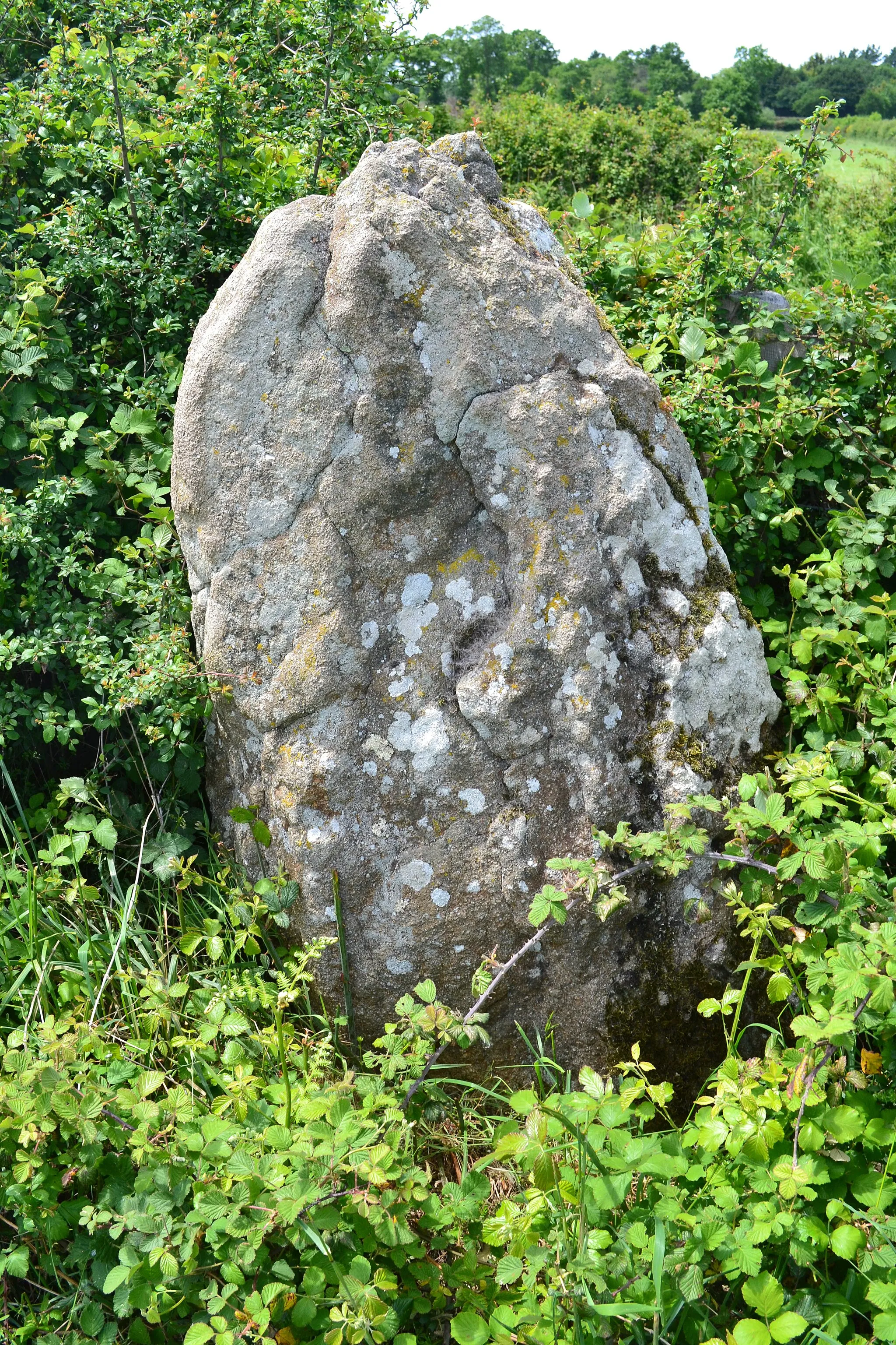 Photo showing: Menhir de Treffier, Besné, Loire-Atlantique