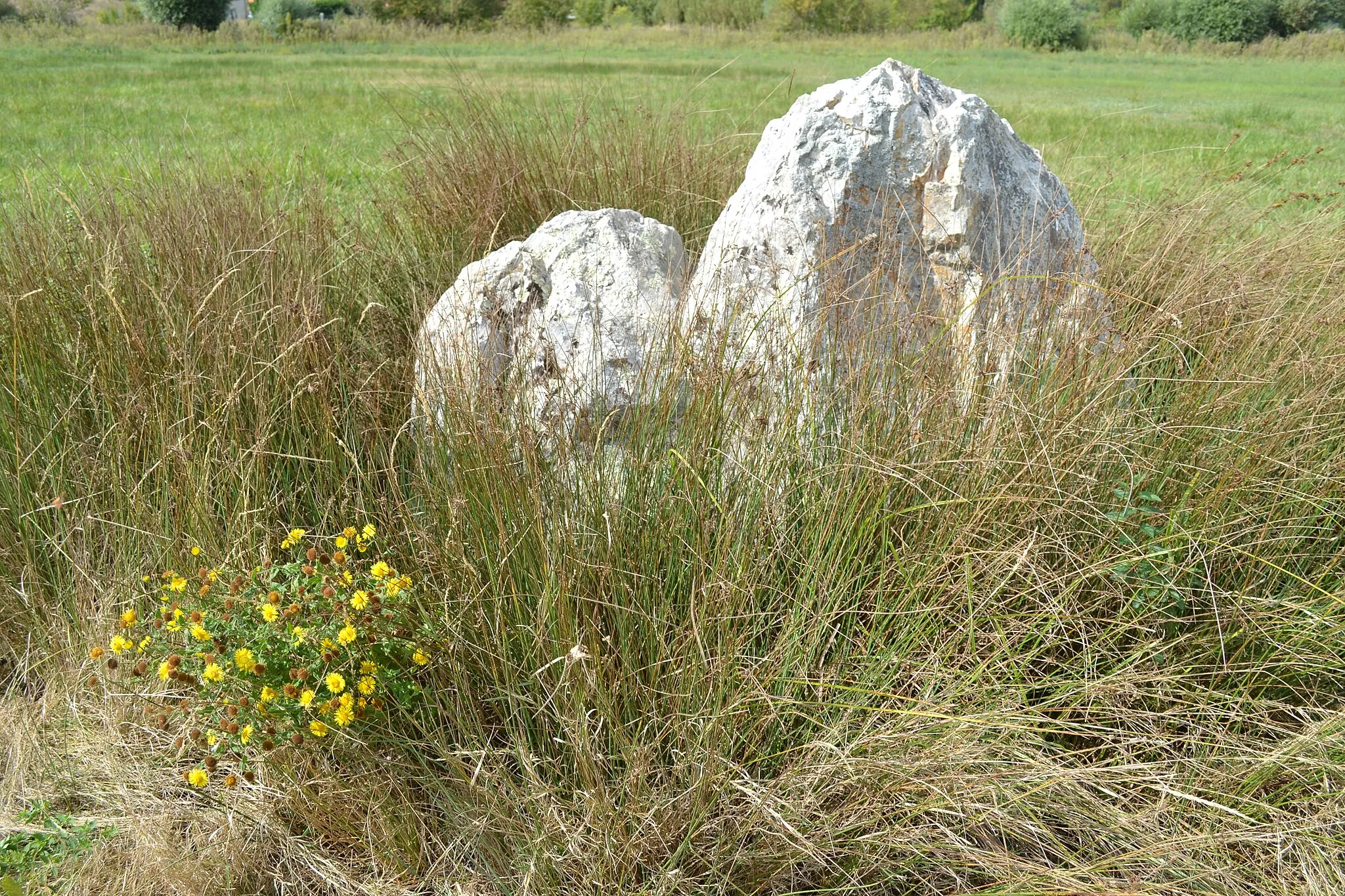 Photo showing: Menhir de la Pierre-Folle, Bourgneuf-en-Retz