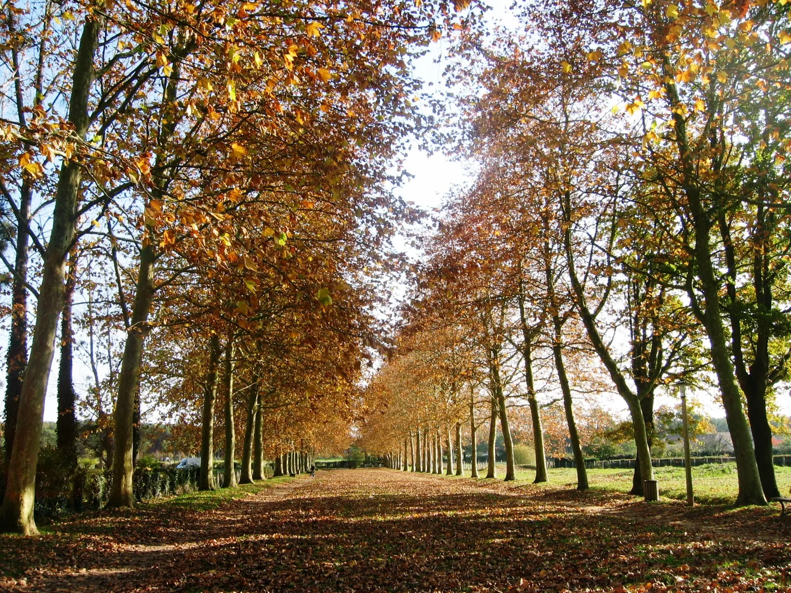 Photo showing: Entrée de l'Allée de Fontenailles à Ecommoy dans la Sarthe