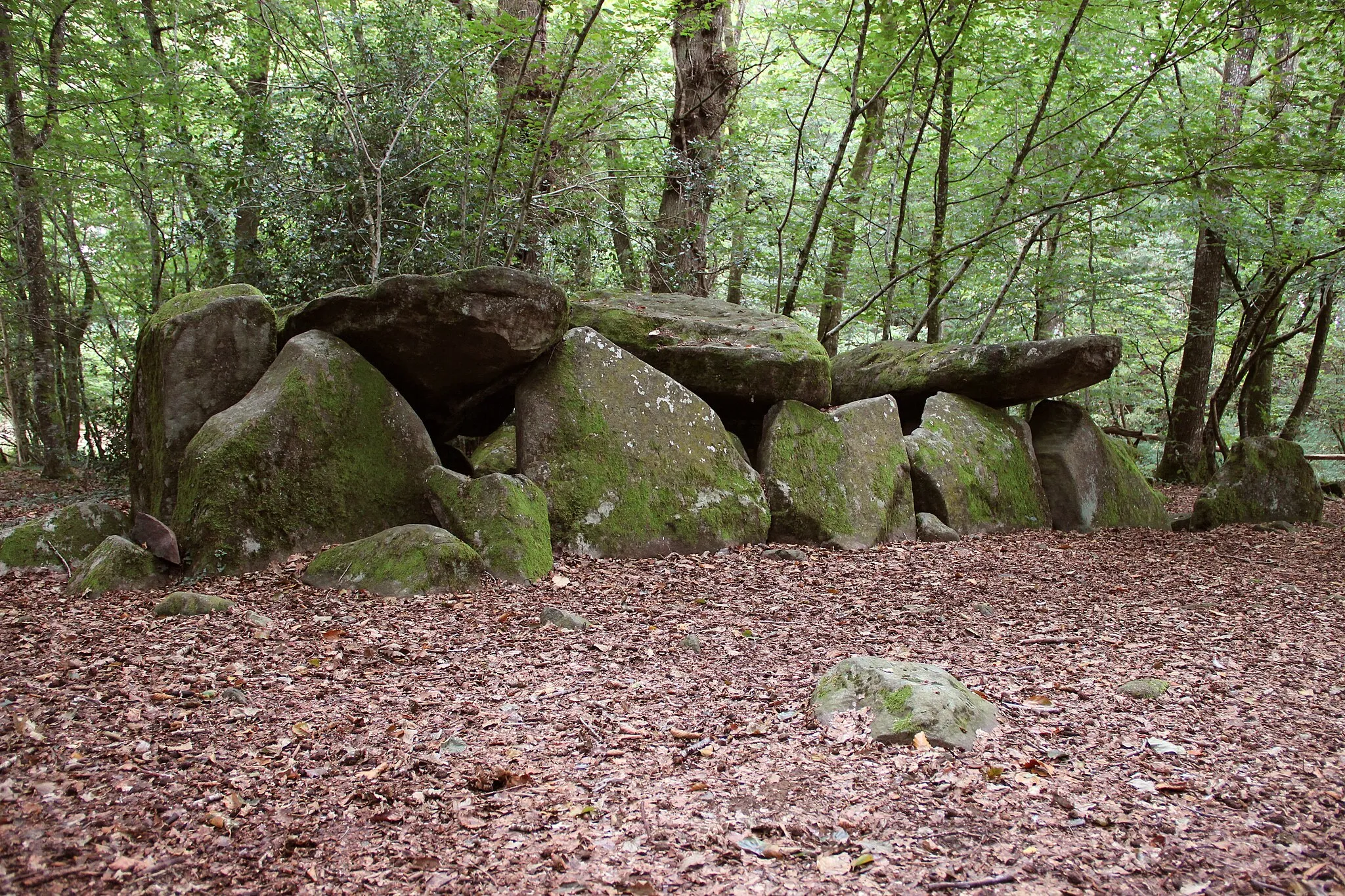 Photo showing: Le dolmen de la Contrie à Ernée.
