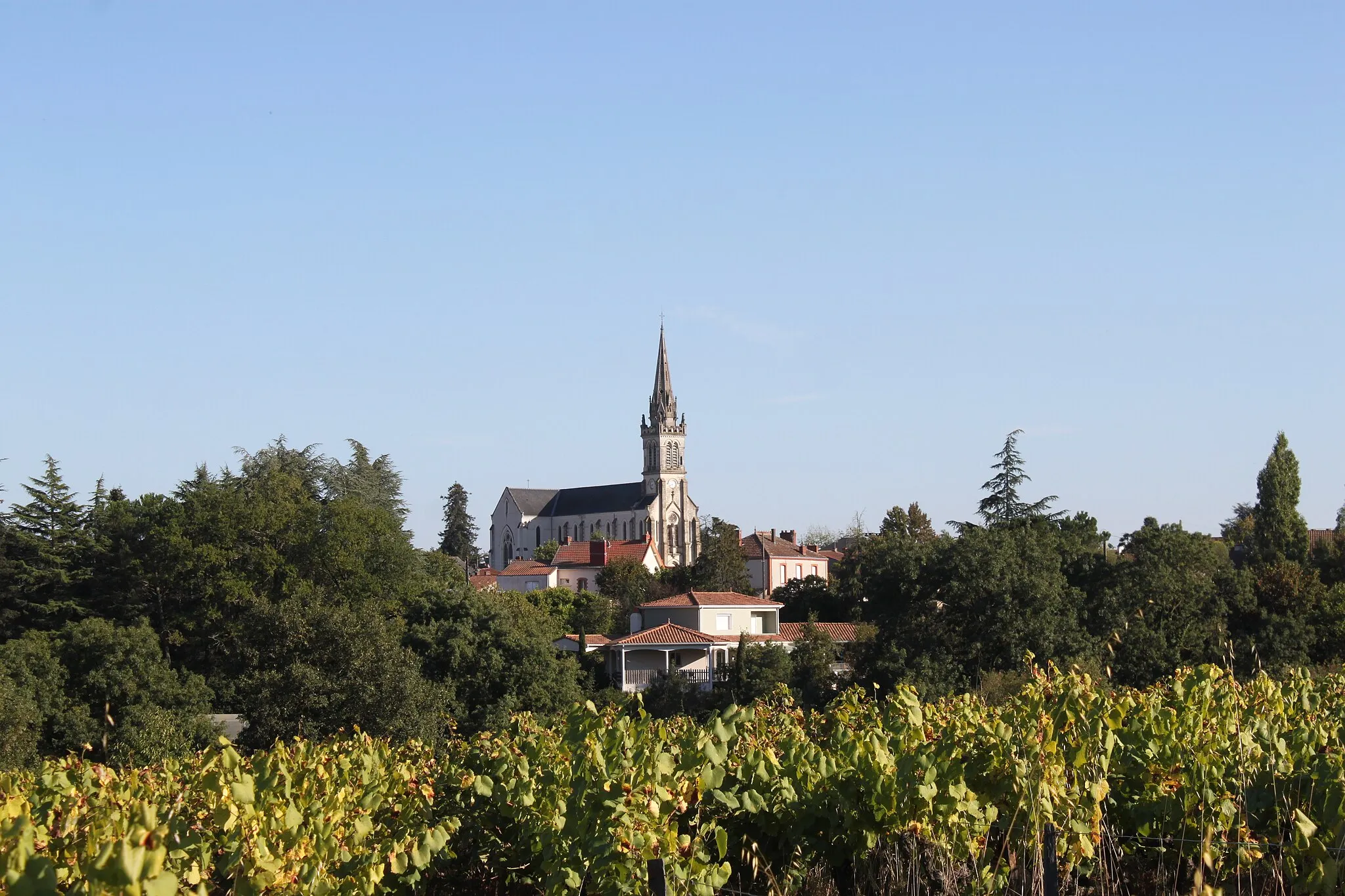 Photo showing: Église Saint-Martin, Fr-44-Gorges.