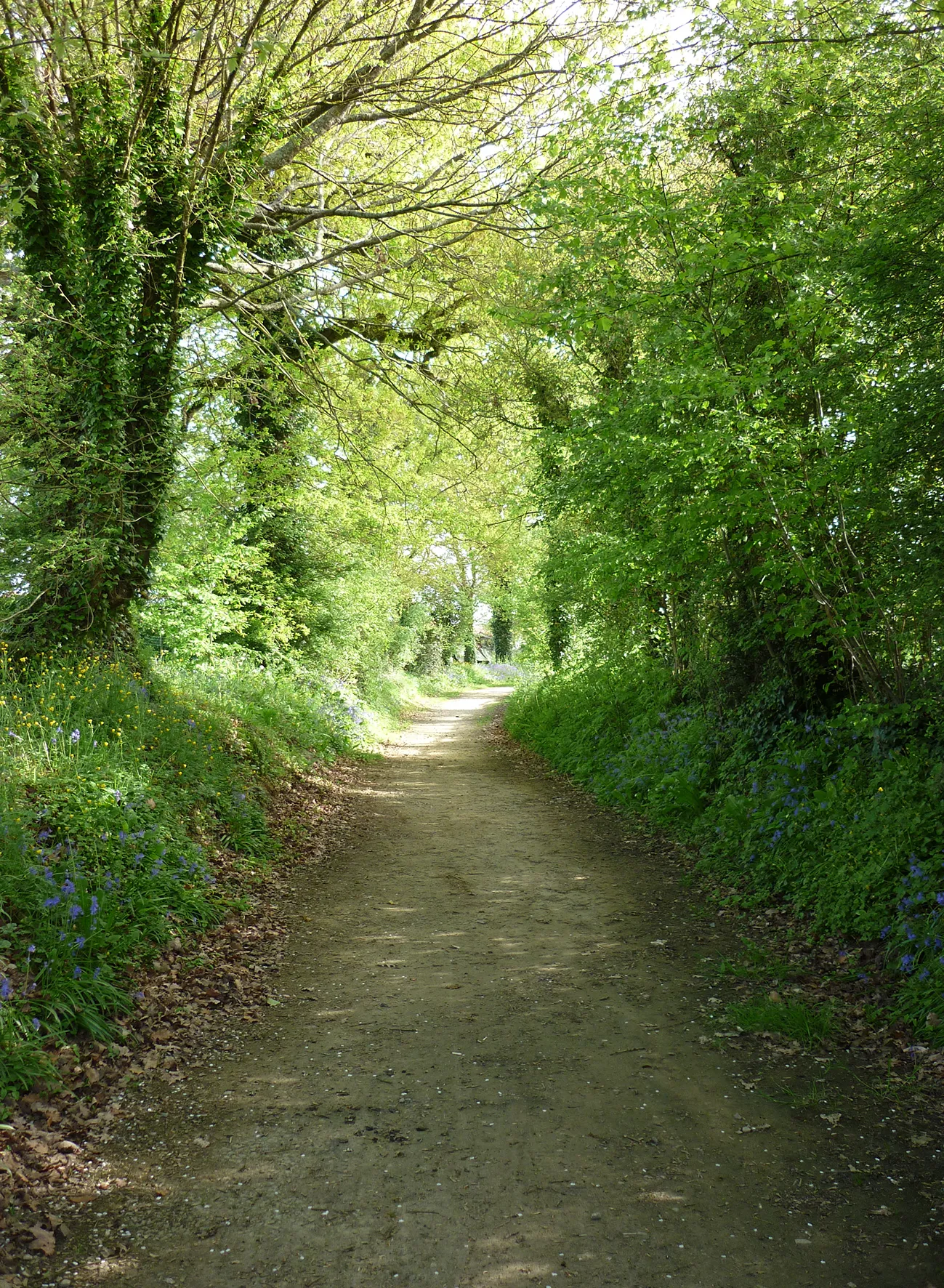 Photo showing: Sentier de La Ferrière