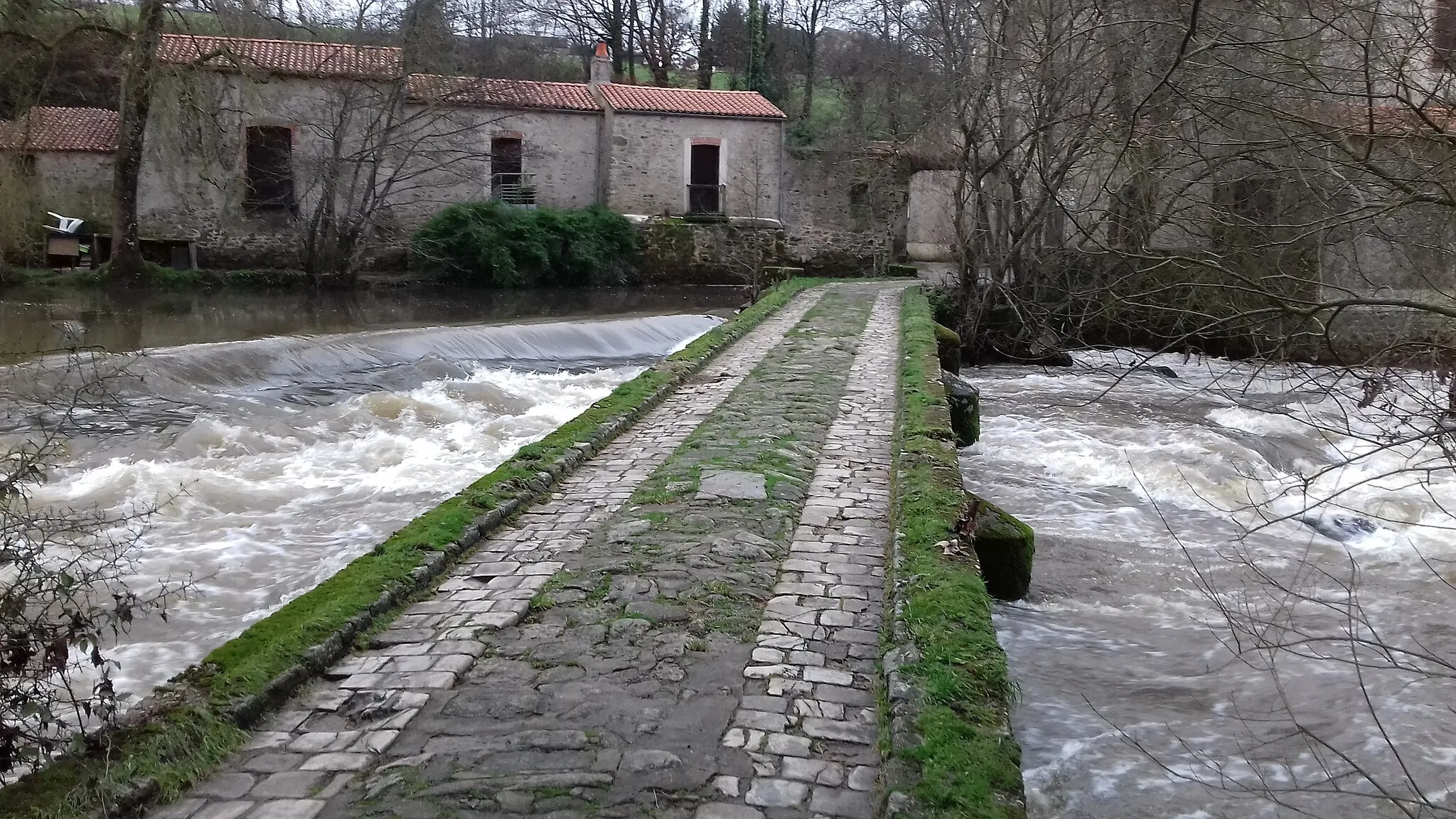 Photo showing: Pont en pierre au-dessus de la Sèvre Nantaise entre Mortagne-sur-Sèvre et La Verrie, au village "Le Guy".