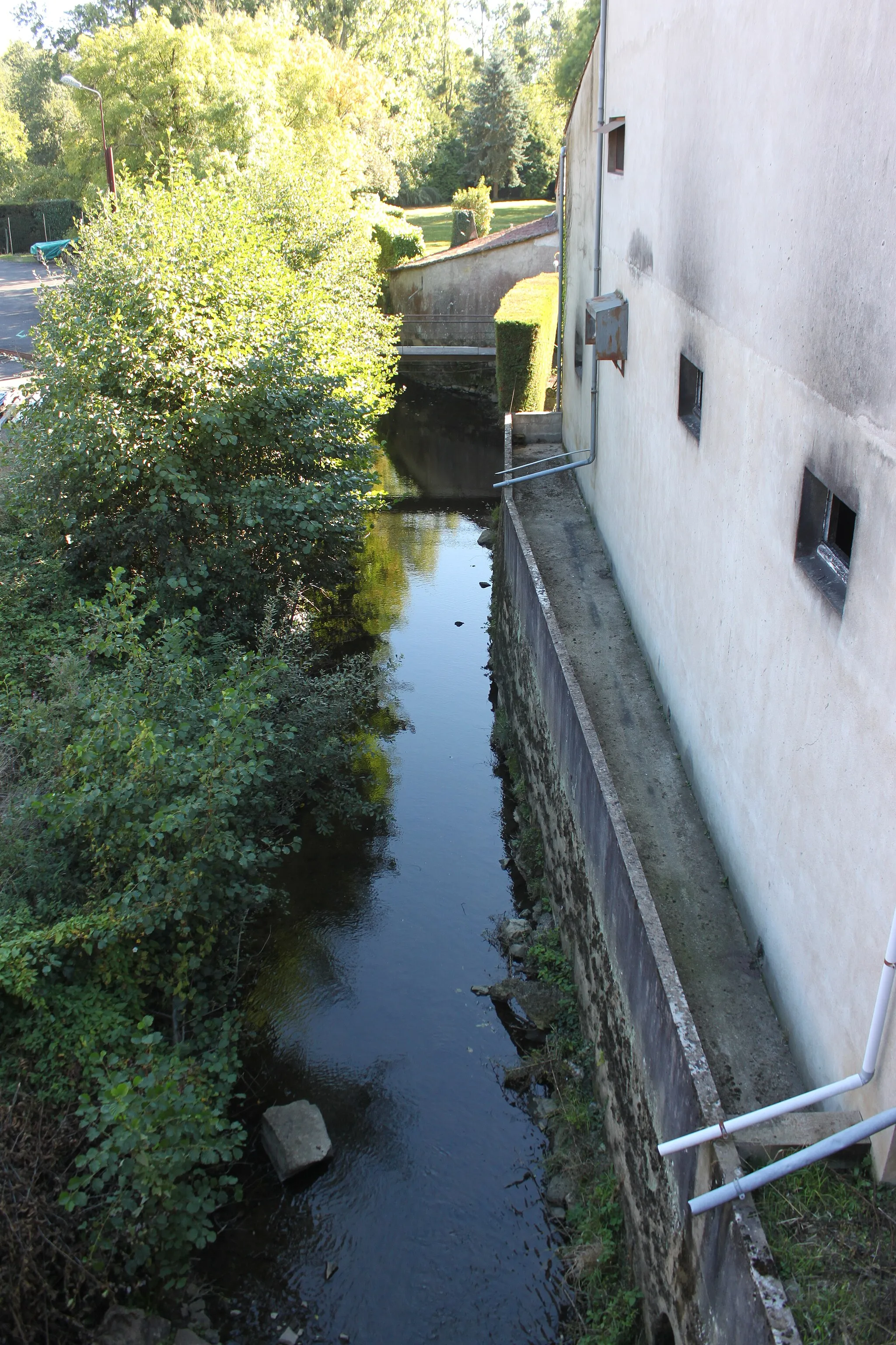Photo showing: Petit ruisseau, affluent de la Sanguèze, Fr-44-Mouzillon.