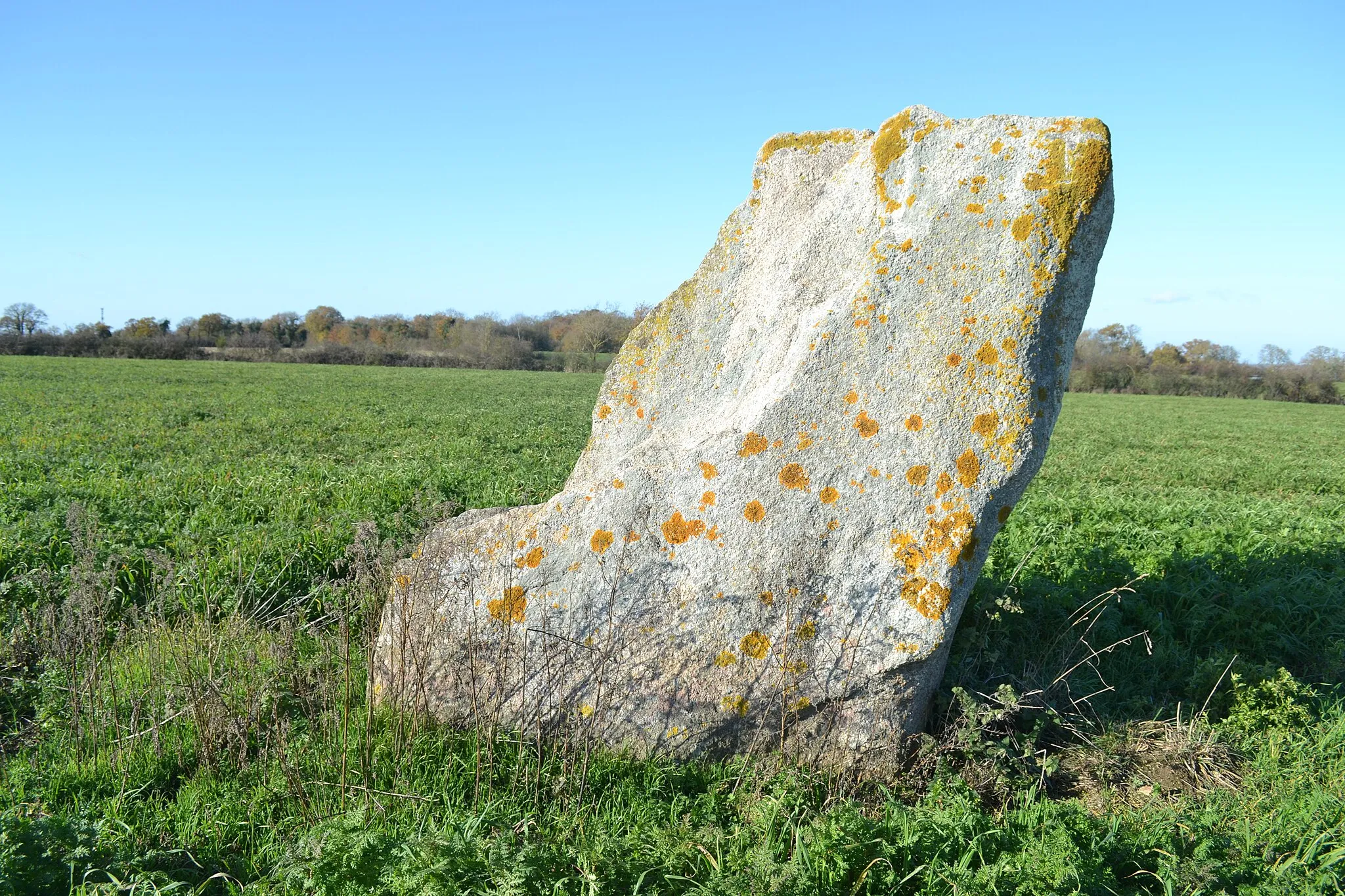 Photo showing: Menhir de la Grande Bernerie à Saint-Hilaire-de-loulay (85).