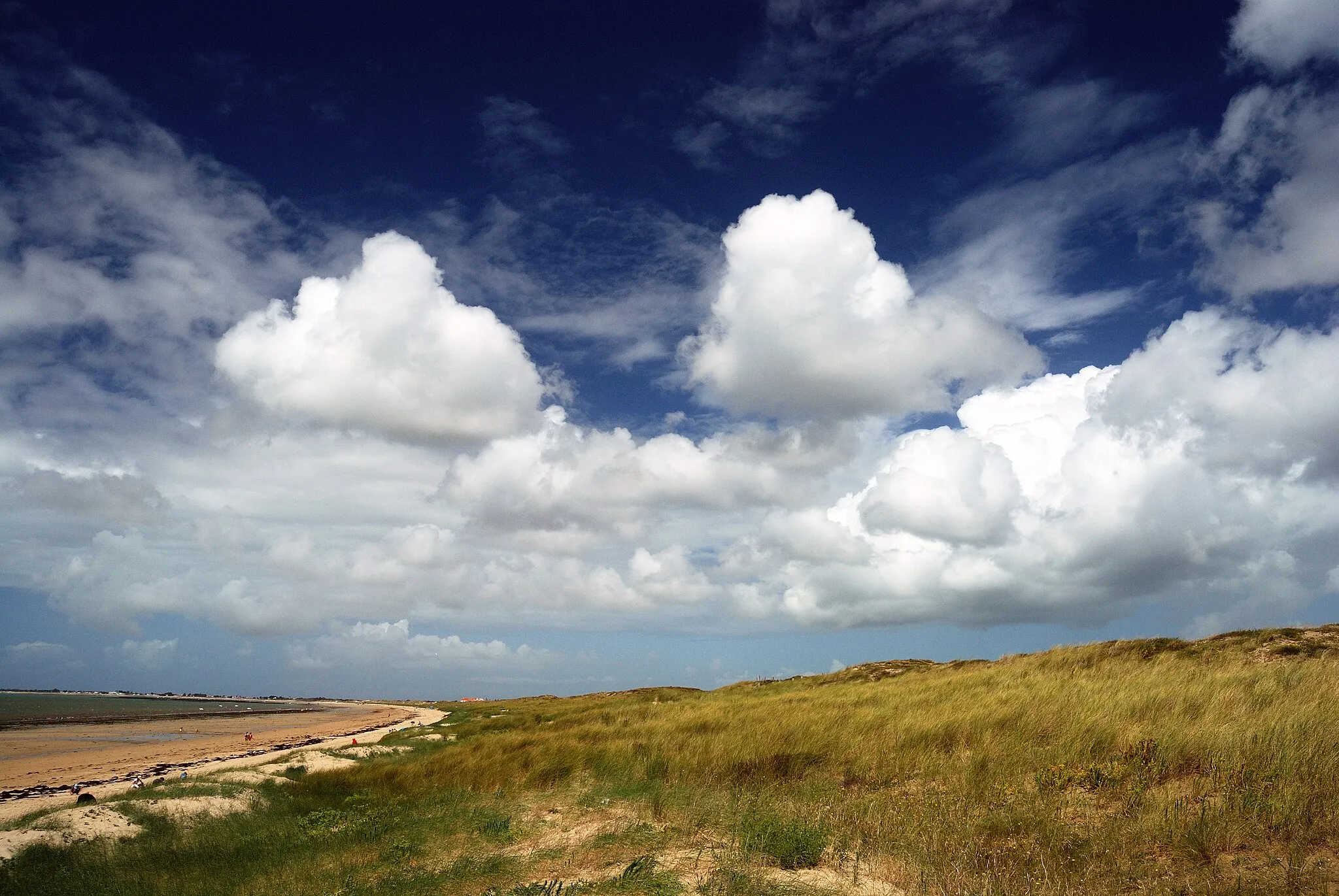 Photo showing: Saint-Jean-de-Monts (Vendée, Pays de la Loire, France) : Dunes côtières.