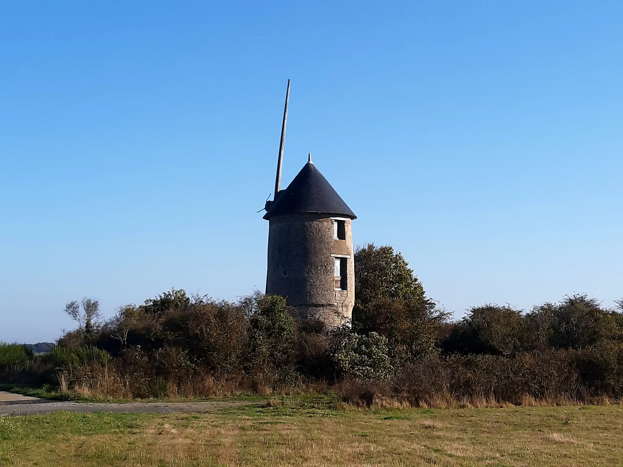 Image de Pays de la Loire