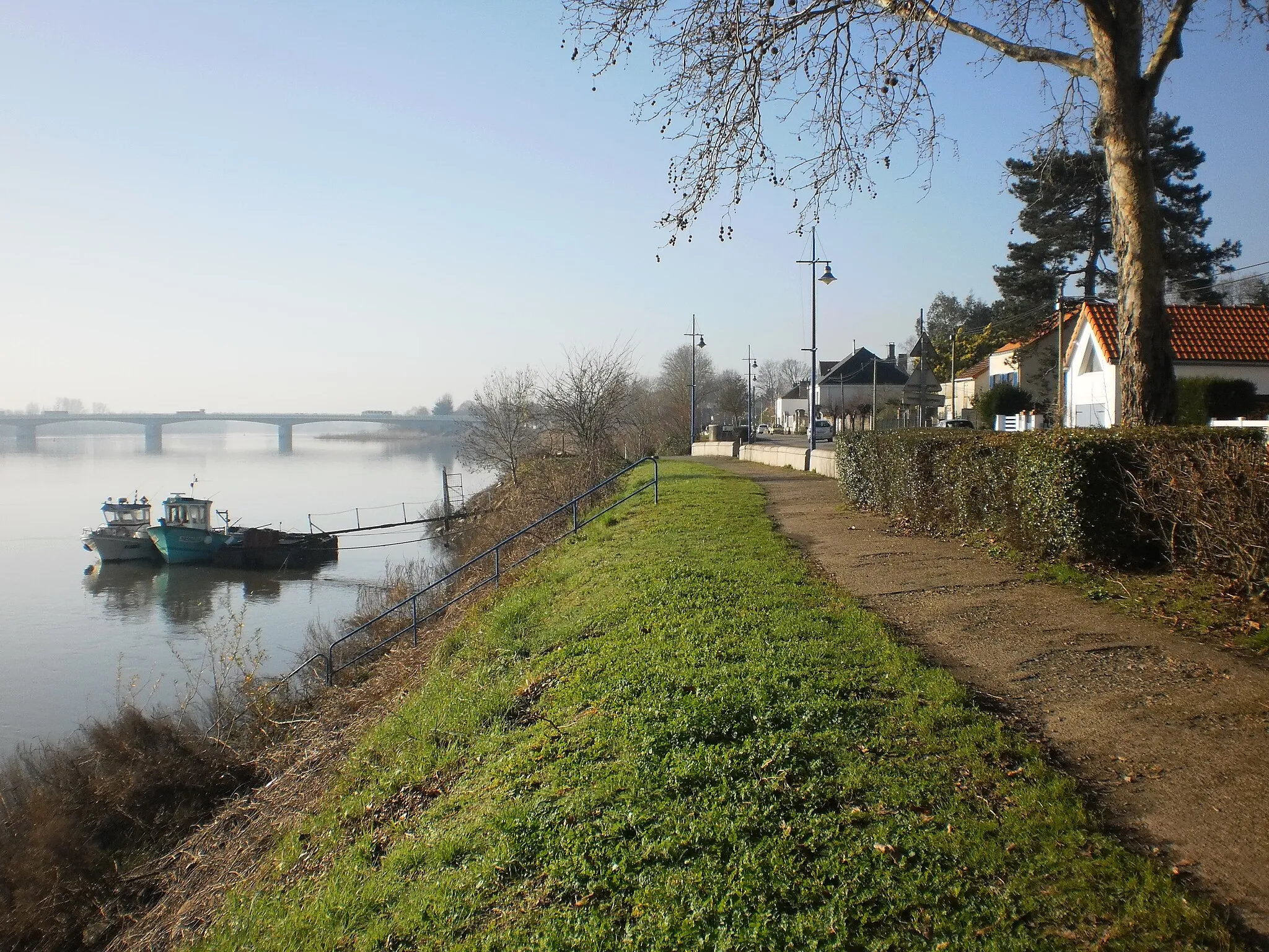 Photo showing: Rive de Loire à Bellevue - Sainte-Luce-sur-Loire (Loire-Atlantique, France).