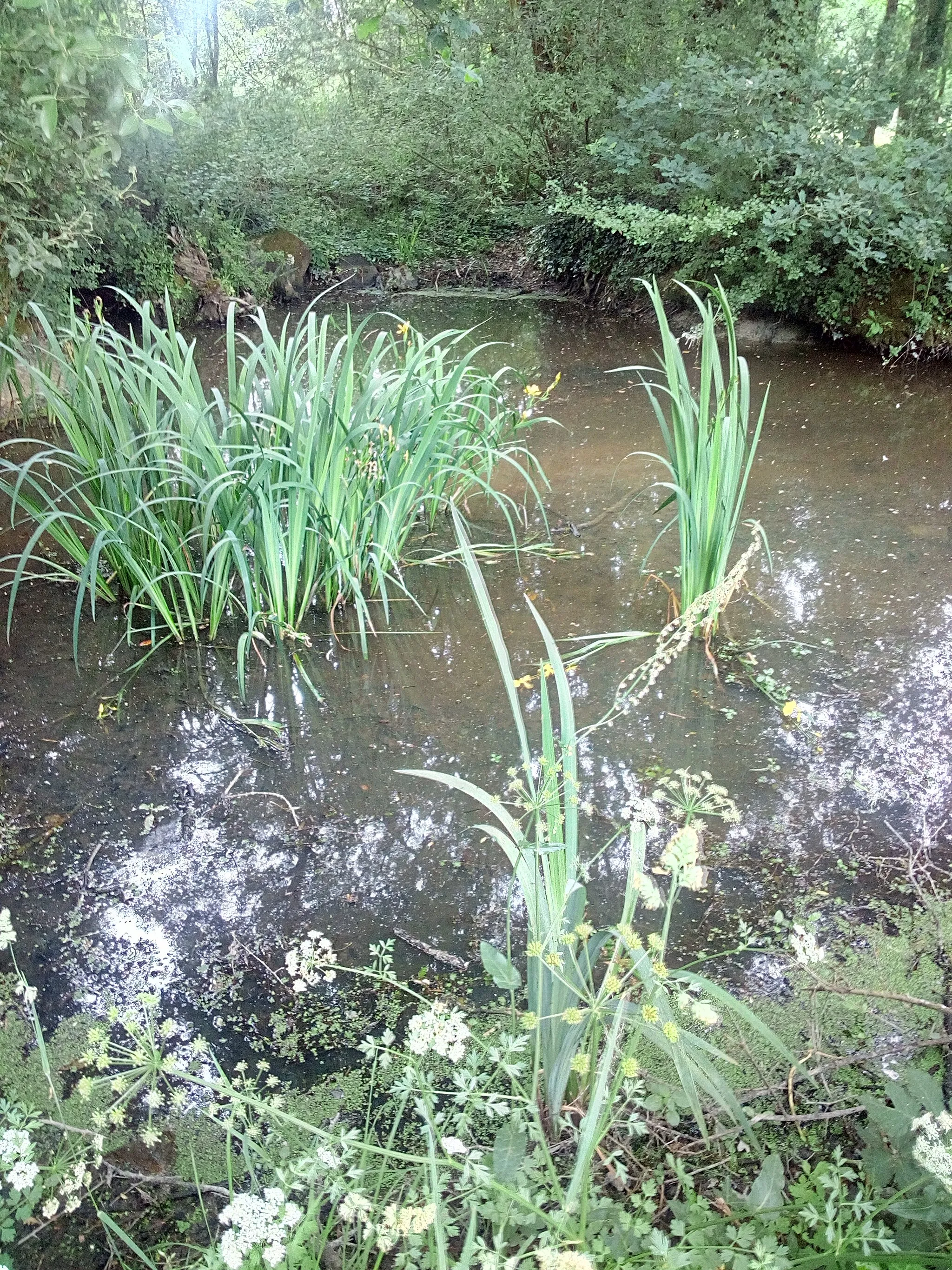 Image de Pays de la Loire