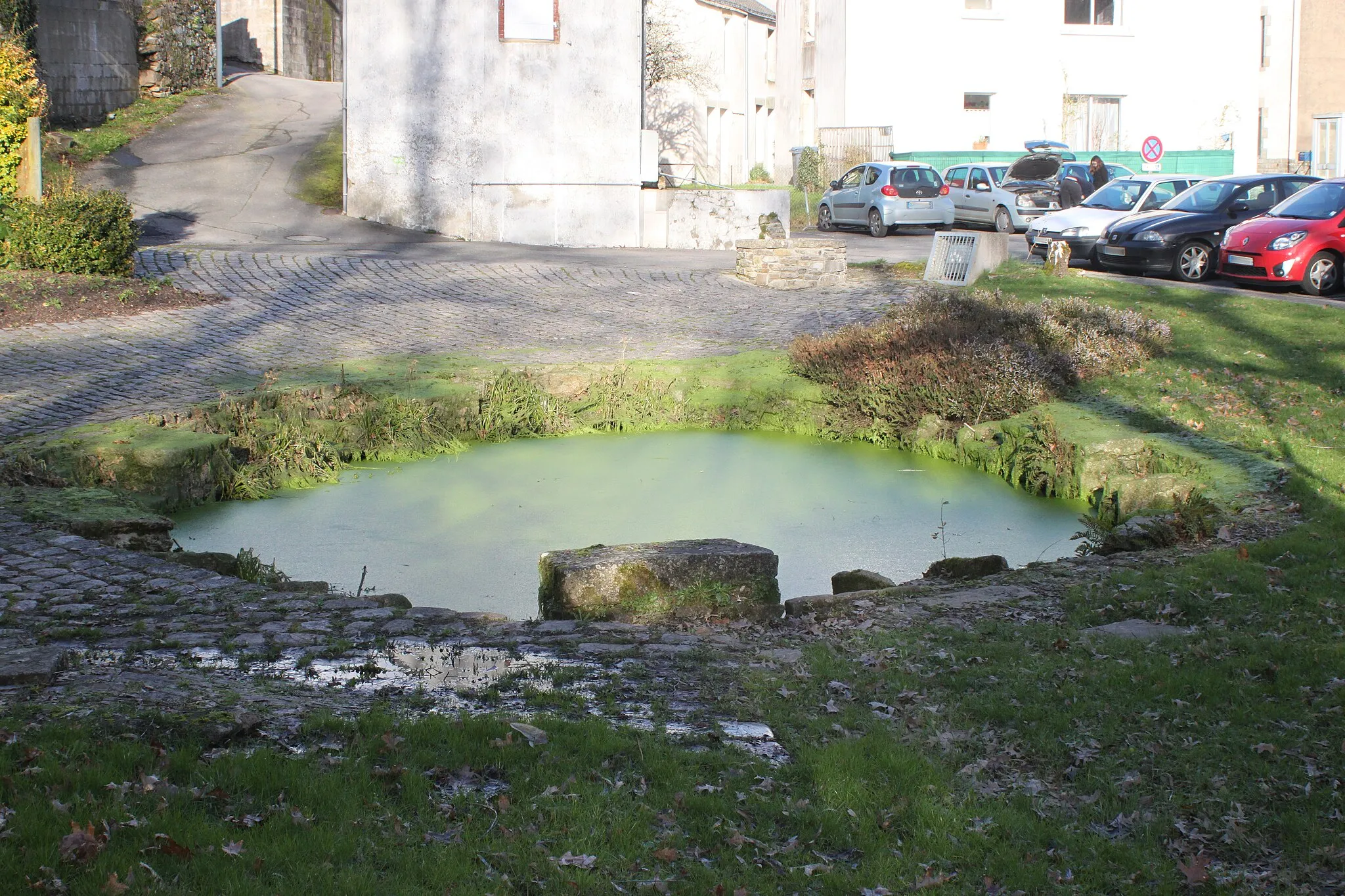 Photo showing: Fontaine Saint-Martin, Fr-44-Vigneux-de-Bretagne